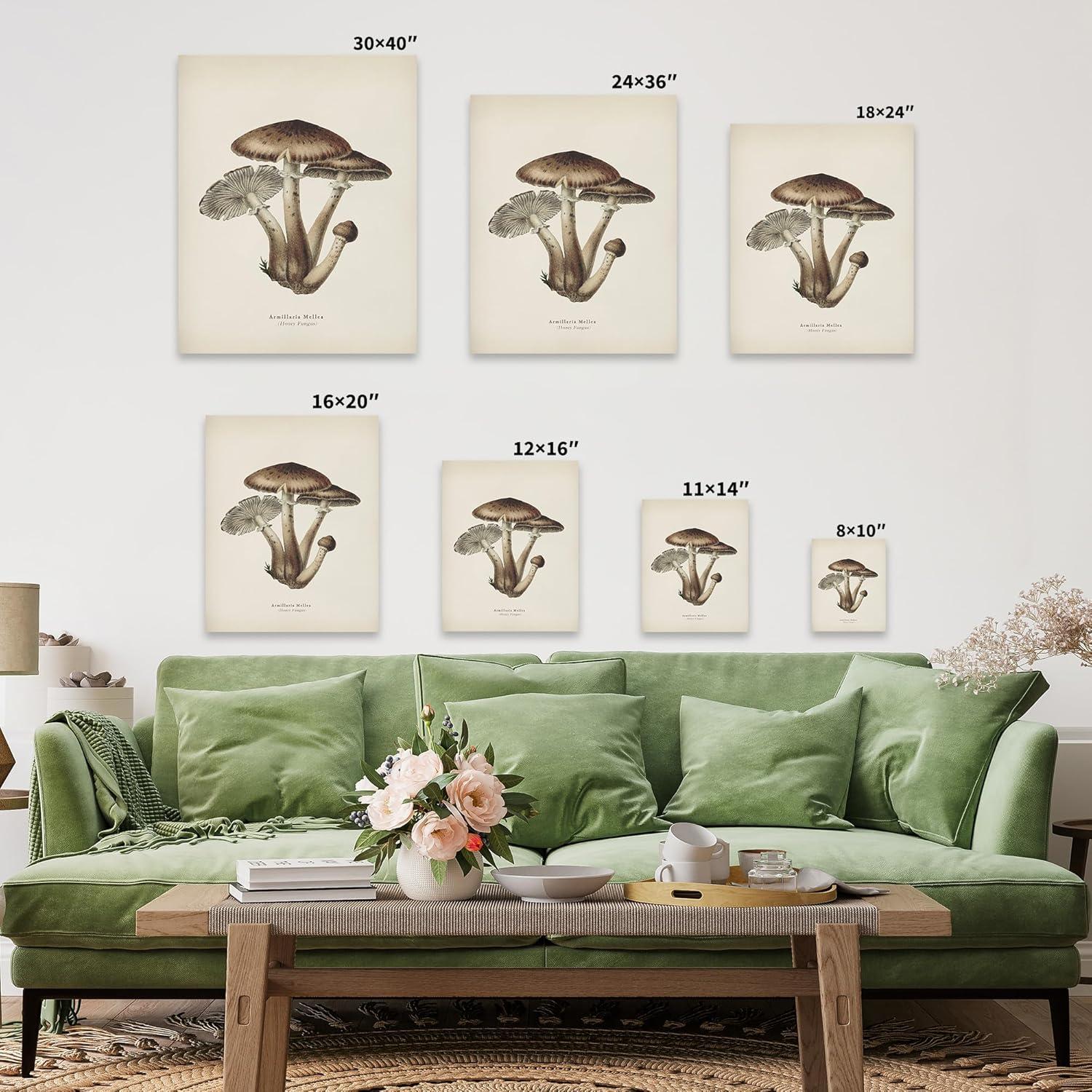 Póster Lienzo Hongo Miel Maestro Armillaria Mellea 20x25 cm