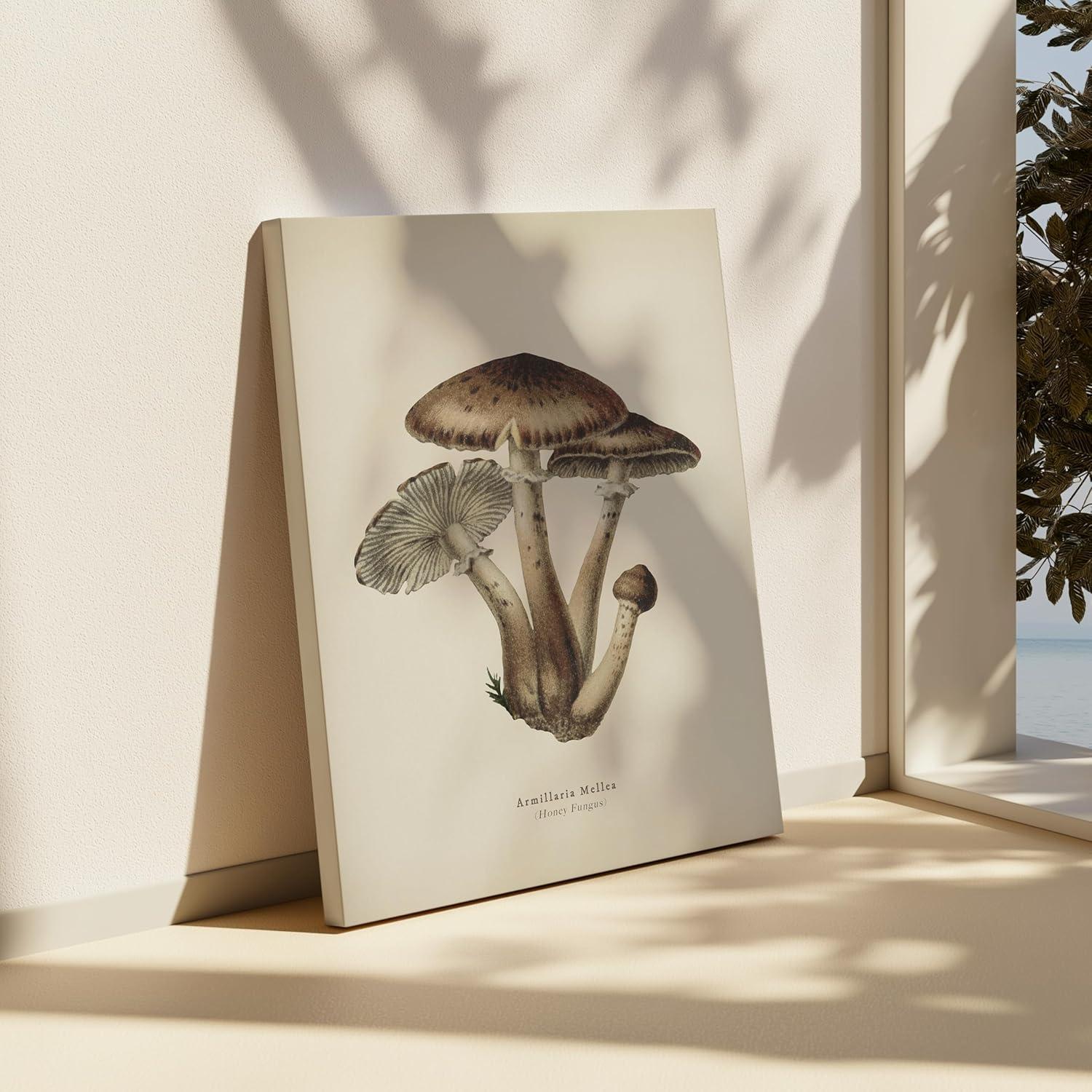 Póster Lienzo Hongo Miel Maestro Armillaria Mellea 20x25 cm