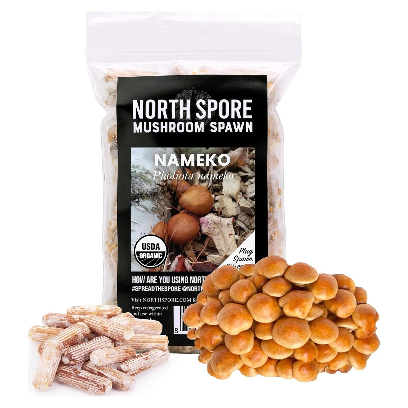 Tapones de Champiñón North Spore Nombreko 100 Unidades