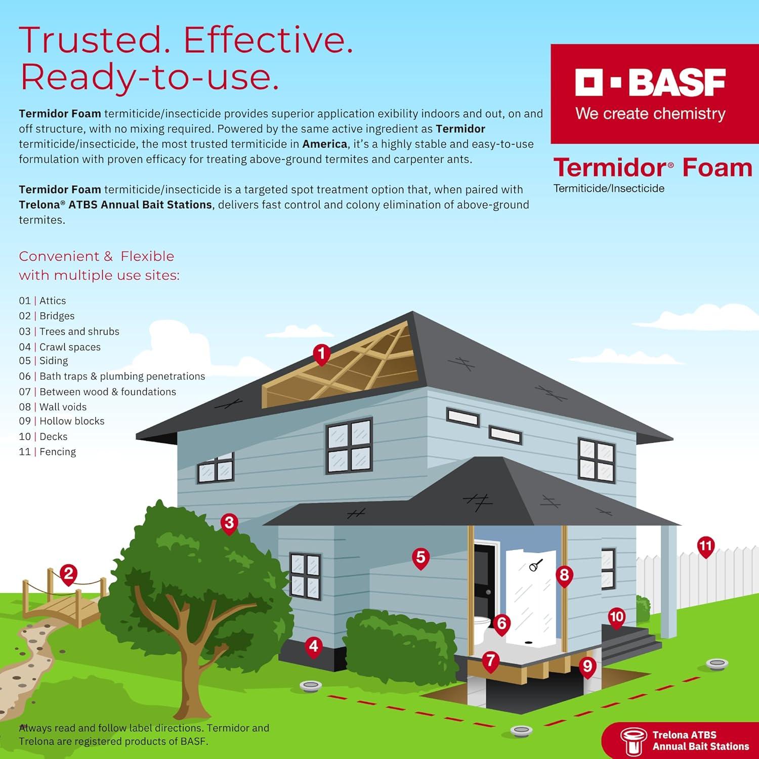 Insecticida Termiticida BASF Termidor Espuma 20 oz - Eficaz contra Plagas