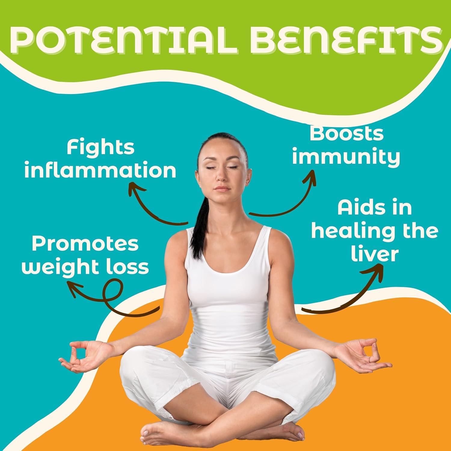 Polvo de Hongo Shaggy Mane Hongo Tea Co. 60g - 100% Puro