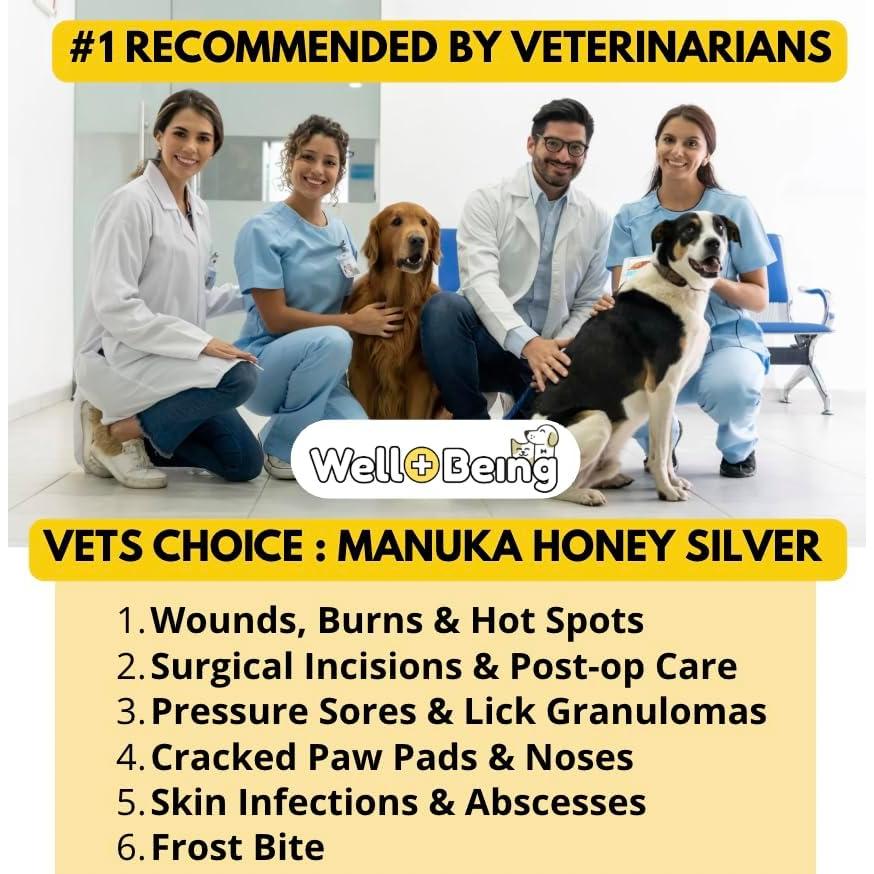 Ungüento Reparador de Heridas Miel de Manuka y Plata 56g