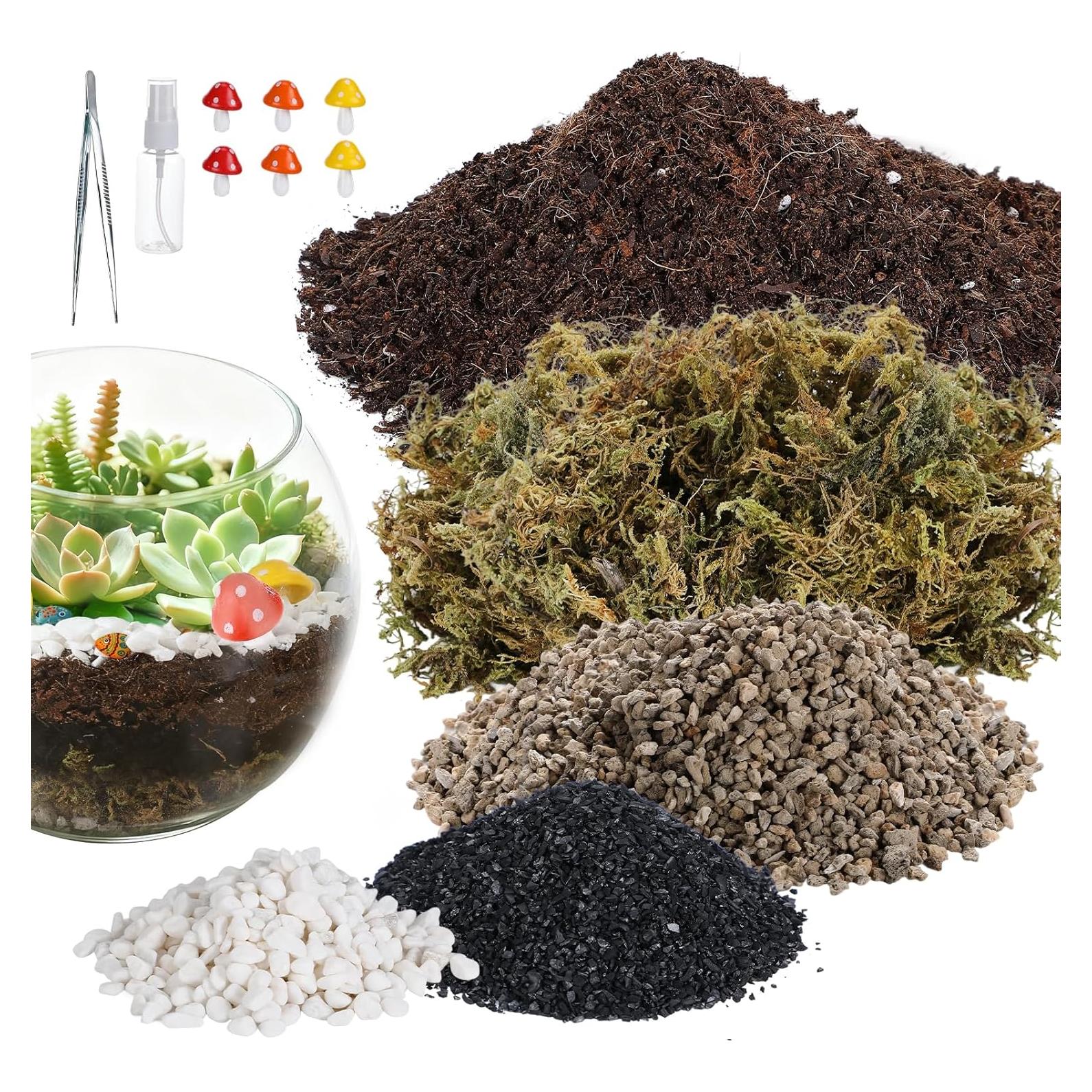 Kit de Terrario DIY Alphatool - Materiales para Suculentas y Cactus