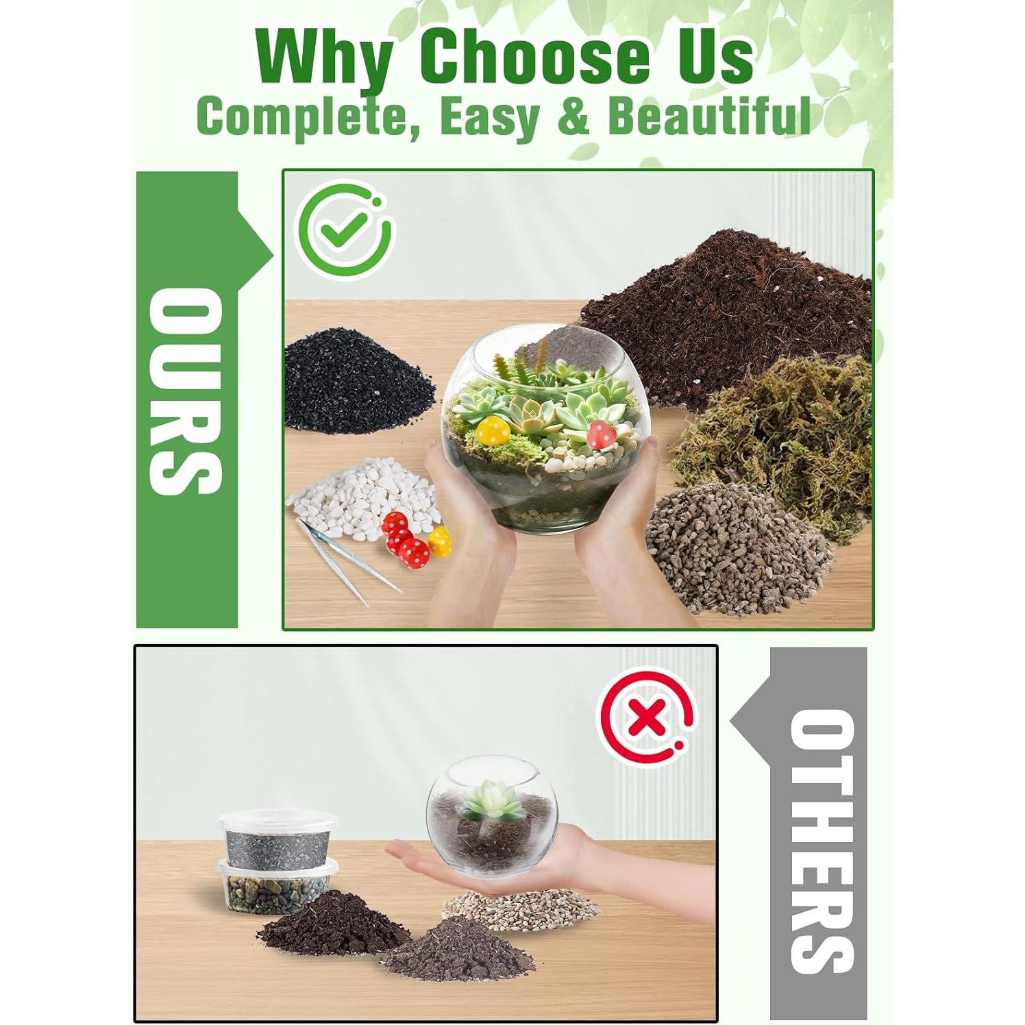 Kit de Terrario DIY Alphatool - Materiales para Suculentas y Cactus