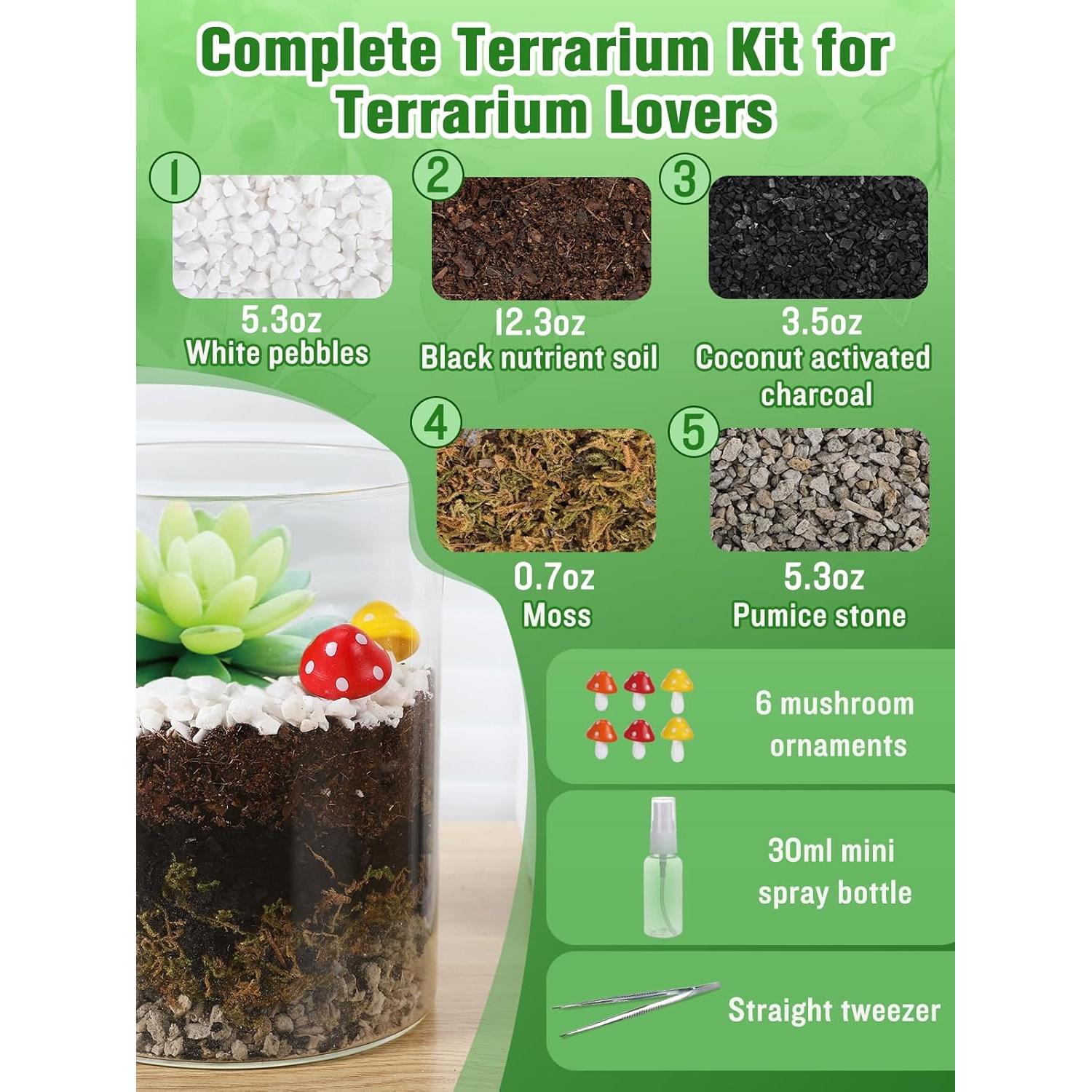 Kit de Terrario DIY Alphatool - Materiales para Suculentas y Cactus