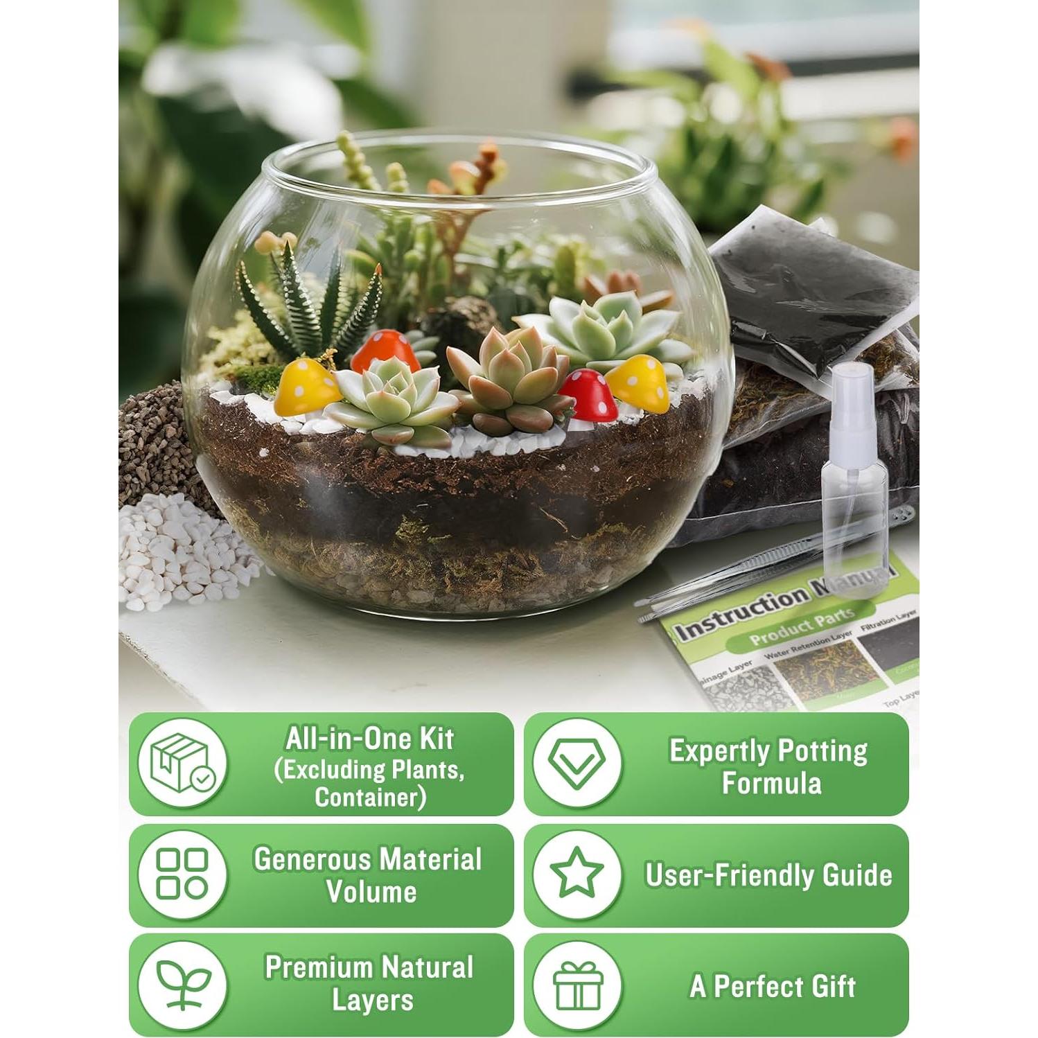 Kit de Terrario DIY Alphatool - Materiales para Suculentas y Cactus