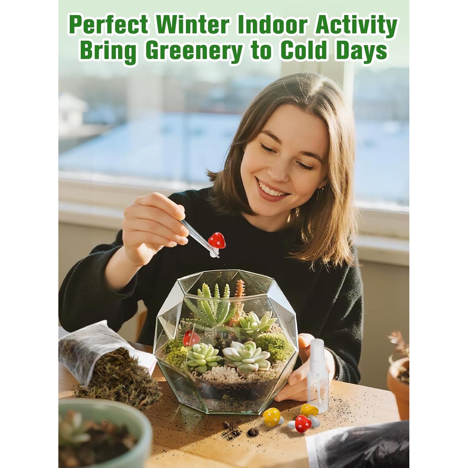 Kit de Terrario DIY Alphatool - Materiales para Suculentas y Cactus