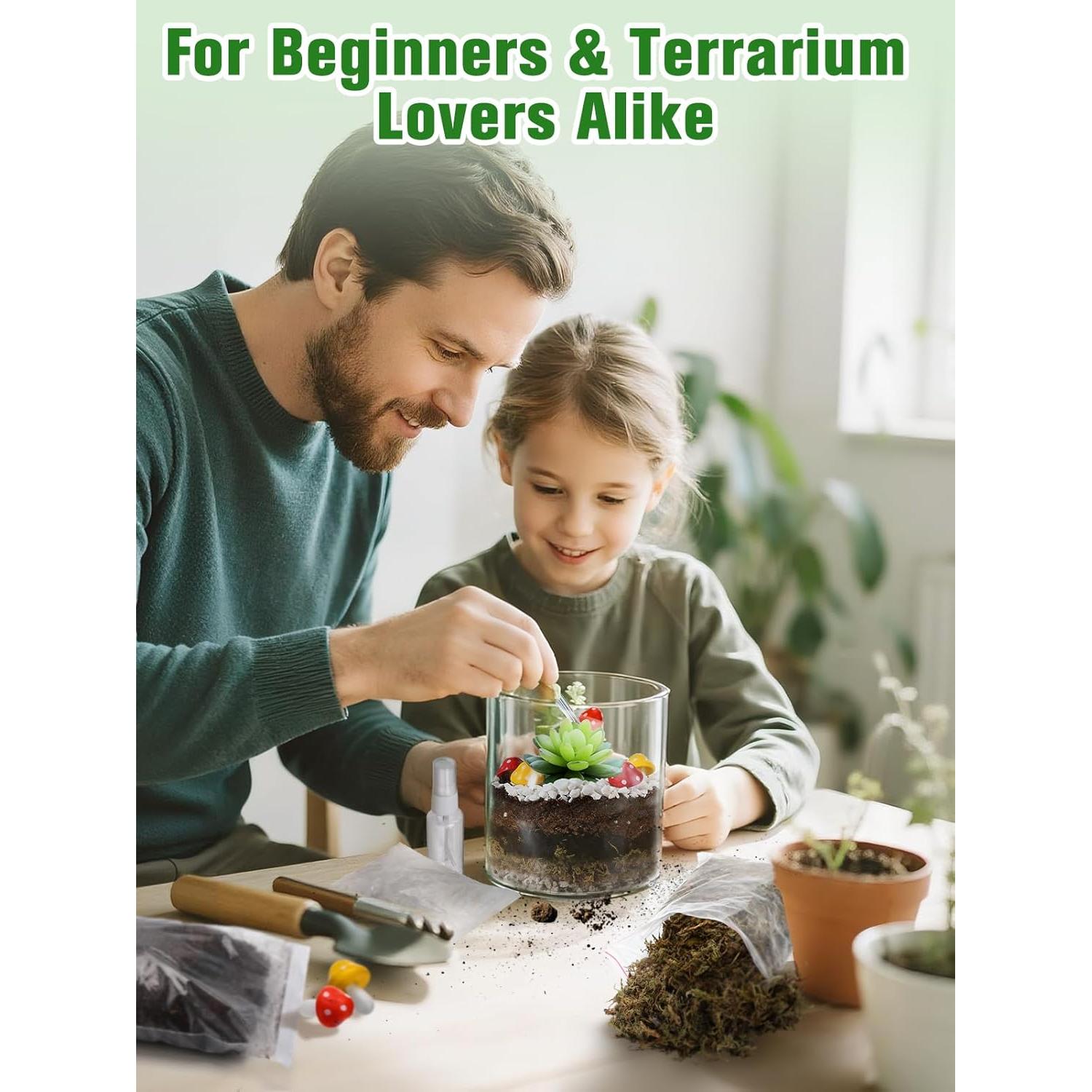 Kit de Terrario DIY Alphatool - Materiales para Suculentas y Cactus