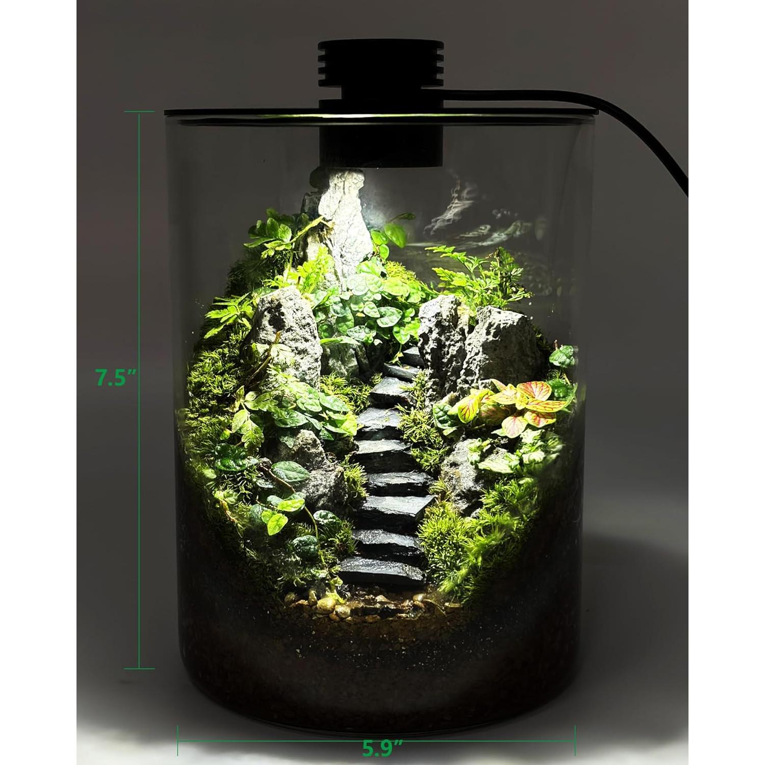 Terrario de vidrio DPROOTS con luz LED para suculentas y acuarios