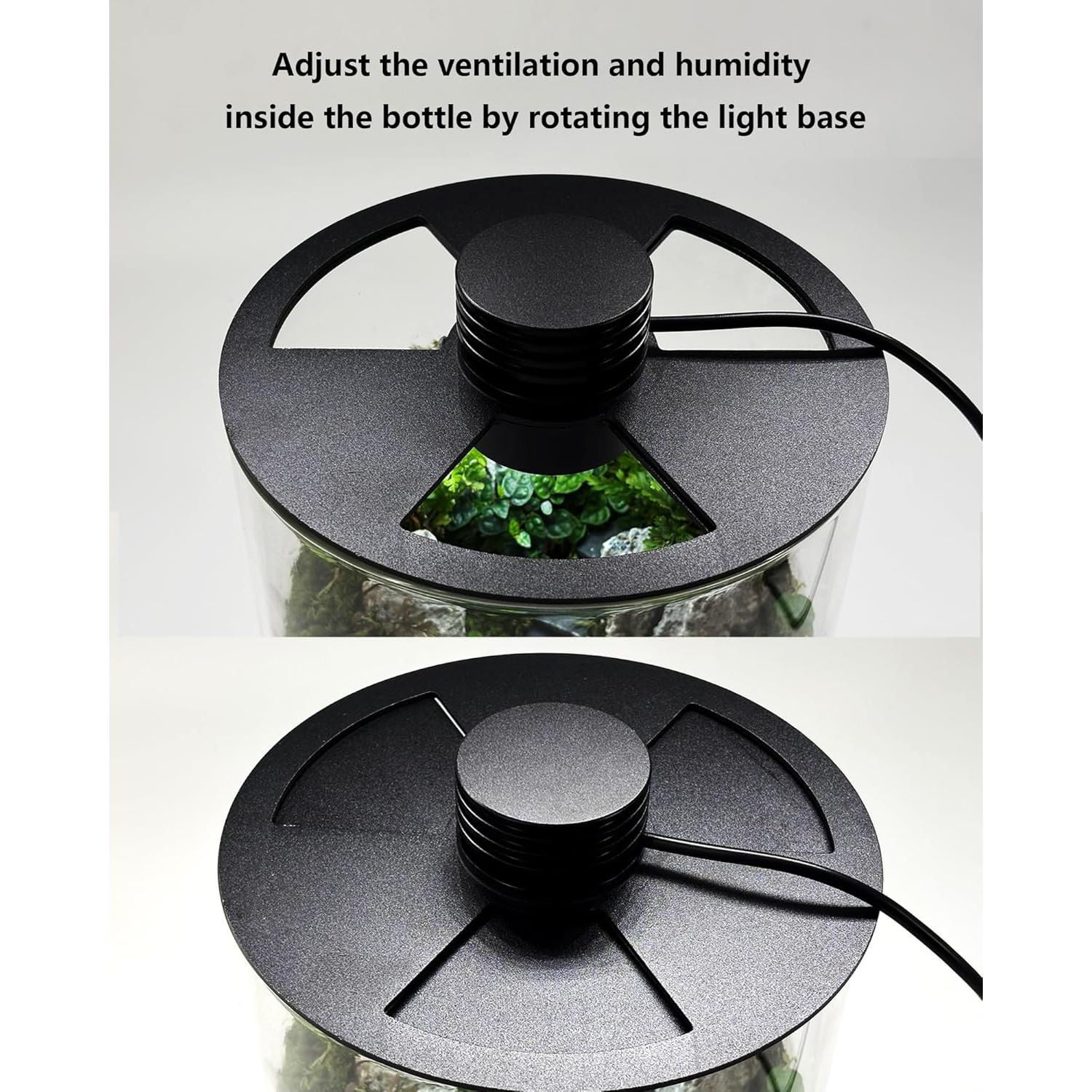 Terrario de vidrio DPROOTS con luz LED para suculentas y acuarios