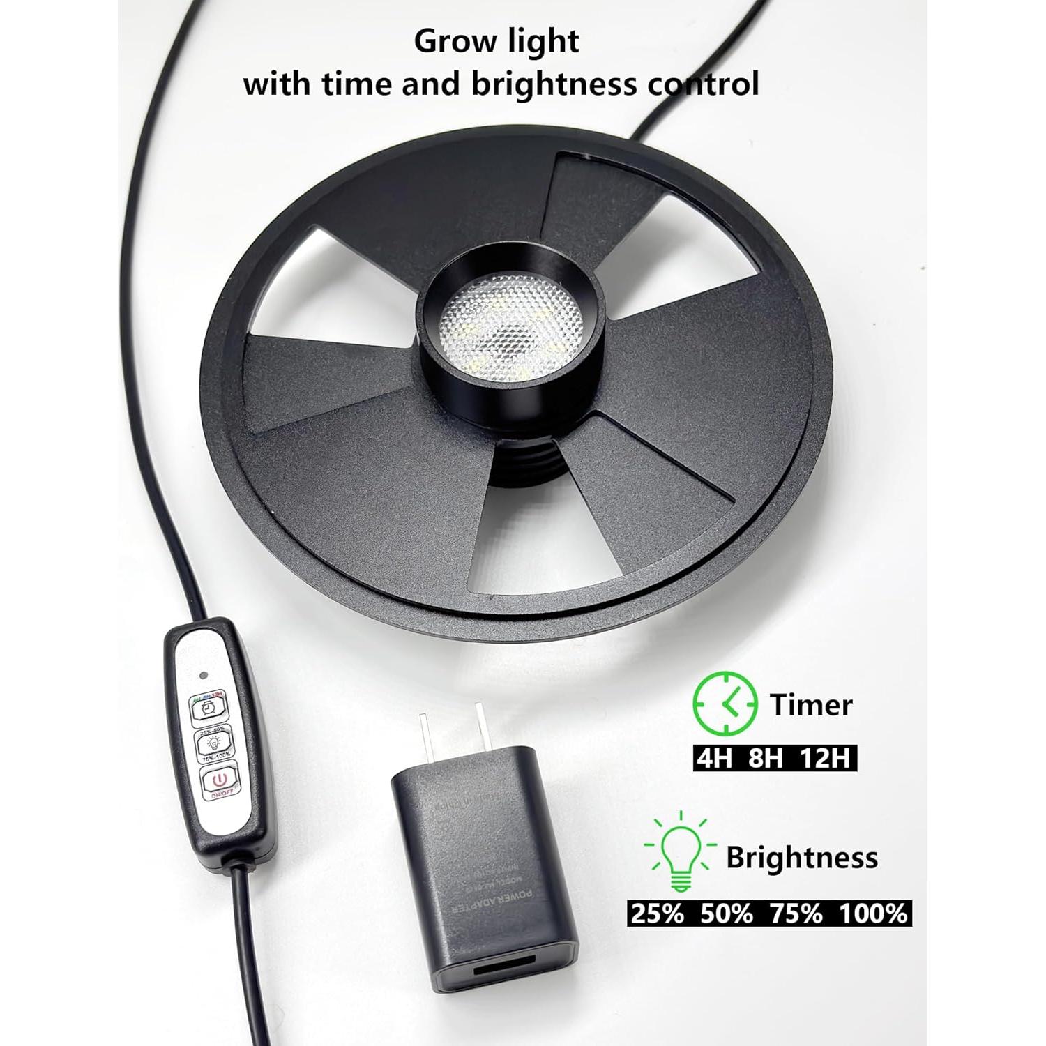 Terrario de vidrio DPROOTS con luz LED para suculentas y acuarios