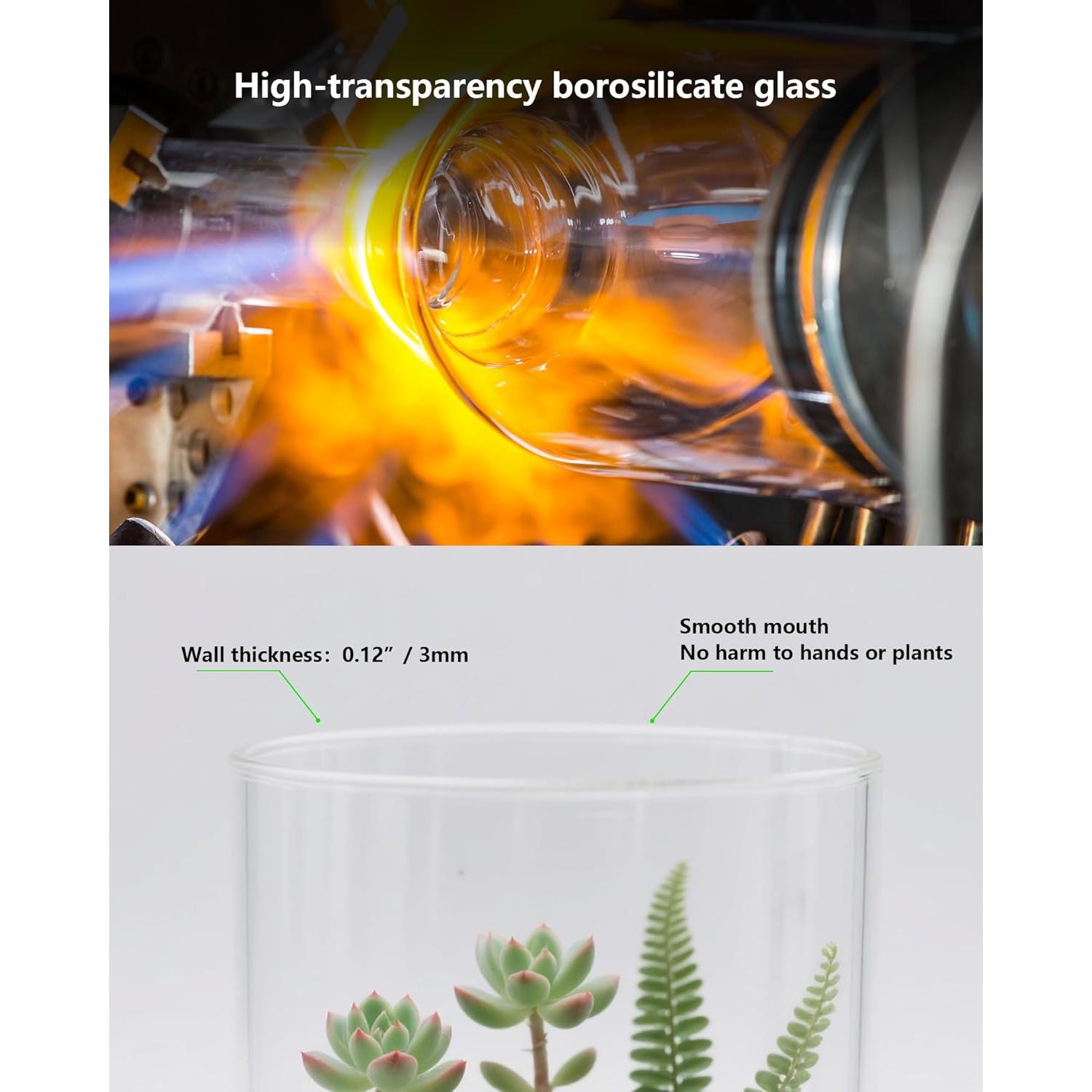 Terrario de vidrio DPROOTS con luz LED para suculentas y acuarios