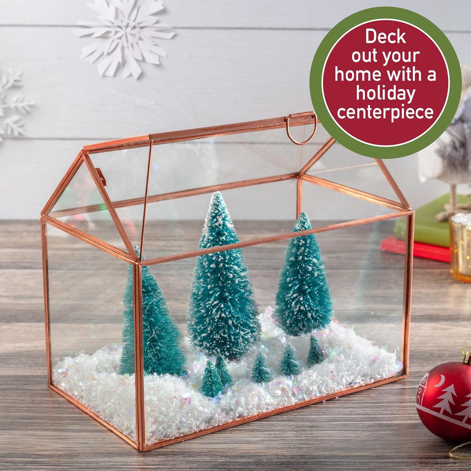 Terrario de Vidrio D'Eco Casa 25.4x15.2x20.3 cm - Decoración Hogar