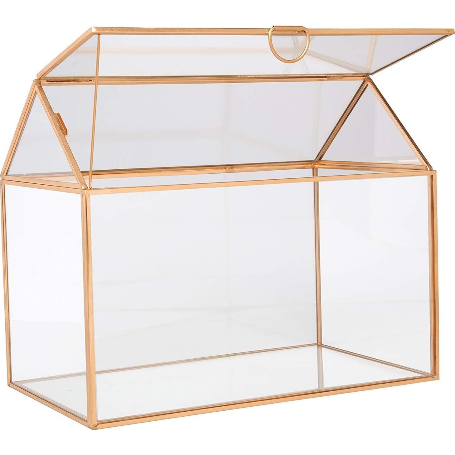 Terrario de Vidrio D'Eco Casa 25.4x15.2x20.3 cm - Decoración Hogar