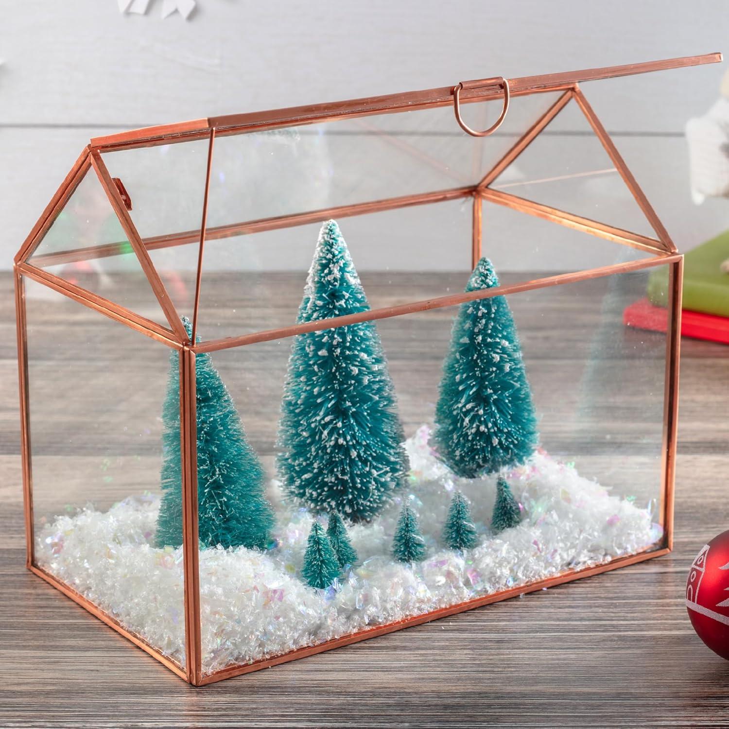 Terrario de Vidrio D'Eco Casa 25.4x15.2x20.3 cm - Decoración Hogar