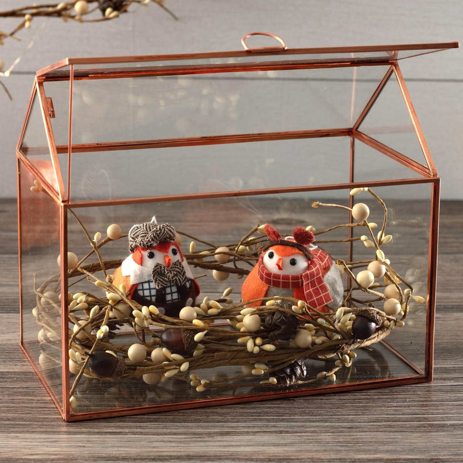 Terrario de Vidrio D'Eco Casa 25.4x15.2x20.3 cm - Decoración Hogar