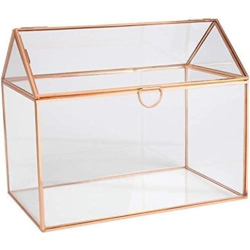 Terrario de Vidrio D'Eco Casa 25.4x15.2x20.3 cm - Decoración Hogar