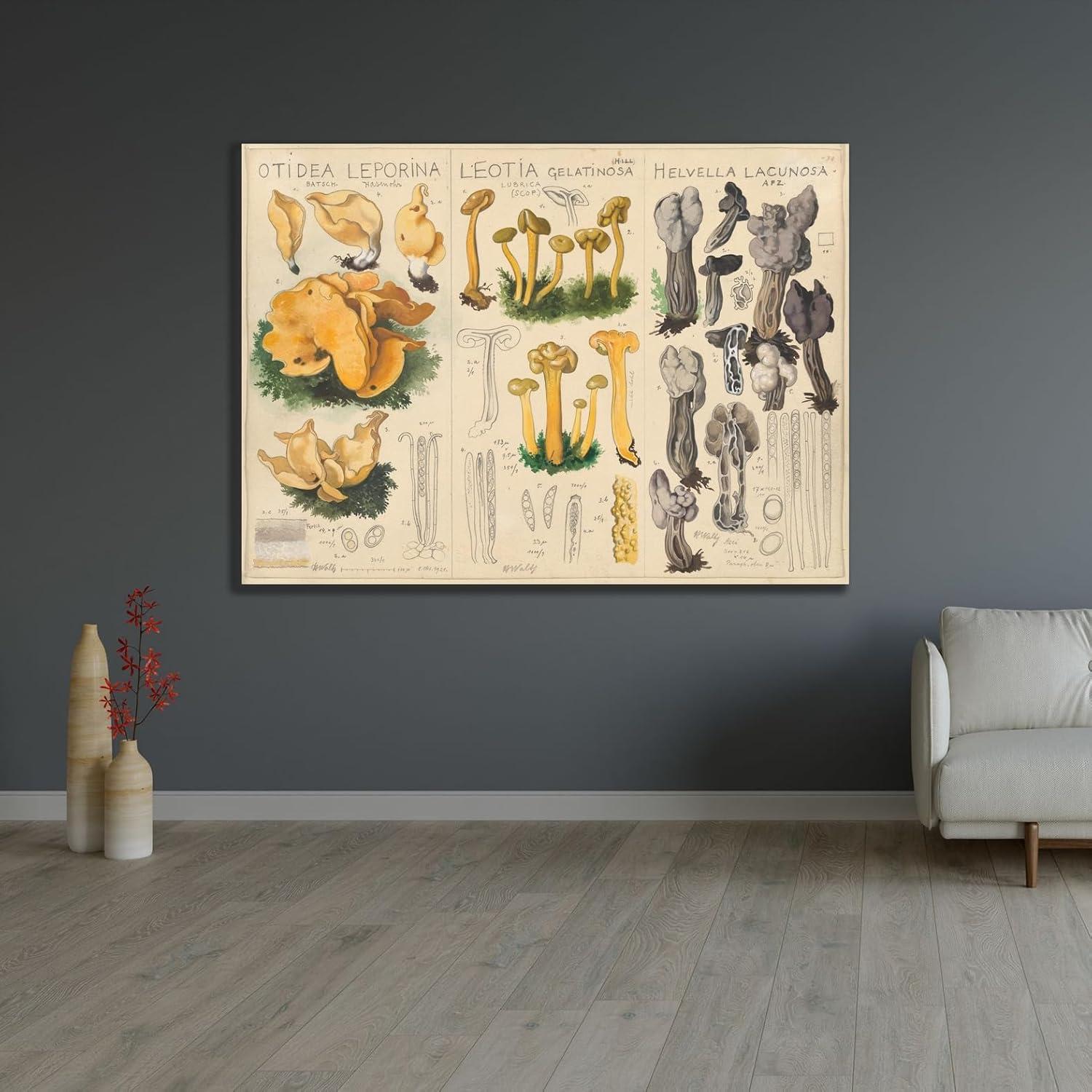 Impresión de Arte Enmarcada Hans Walty - Otidea leporina