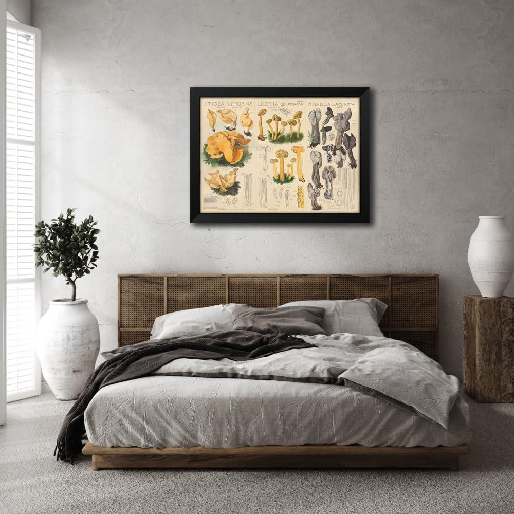 Impresión de Arte Enmarcada Hans Walty - Otidea leporina