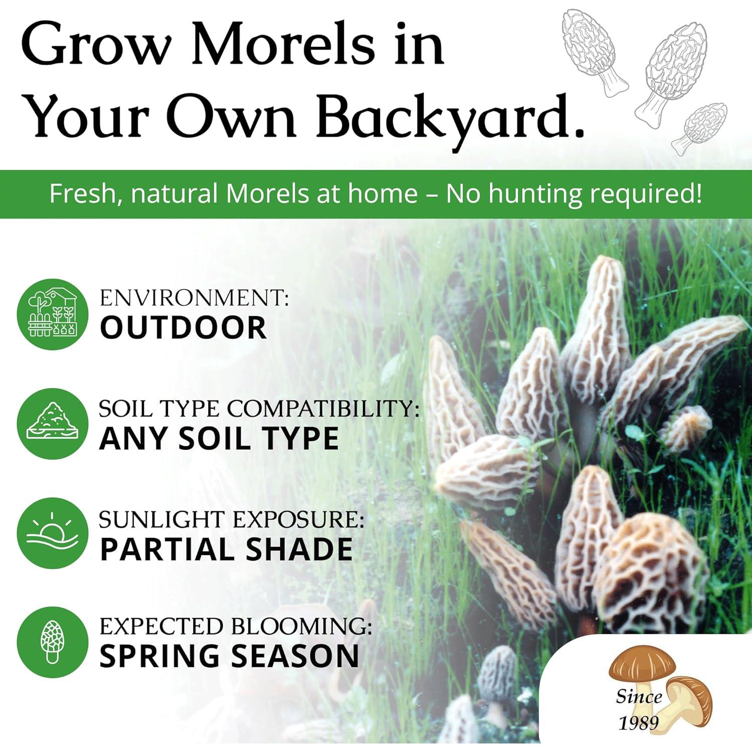 Kit de Cultivo de Hongos Morel Gourmet - Habitat Morel