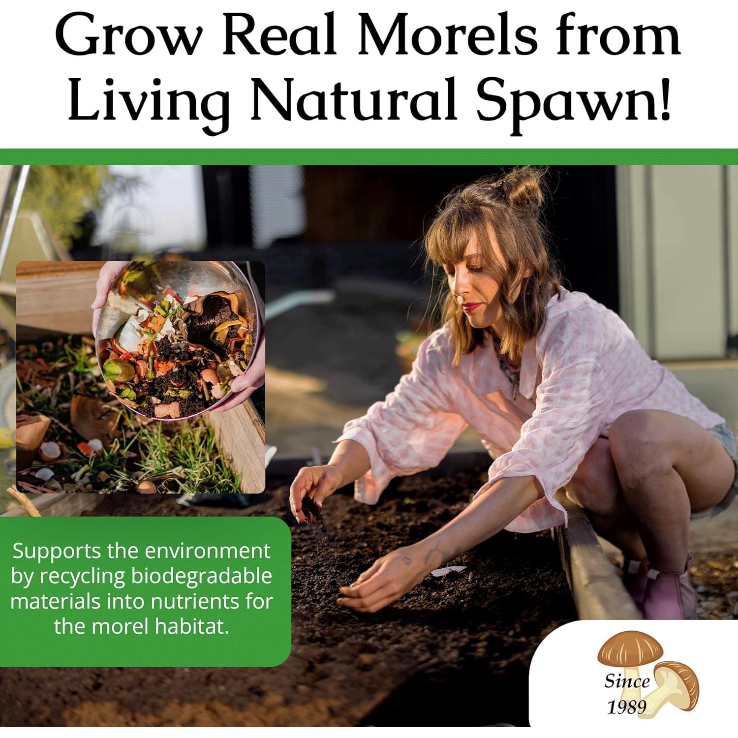 Kit de Cultivo de Hongos Morel Gourmet - Habitat Morel