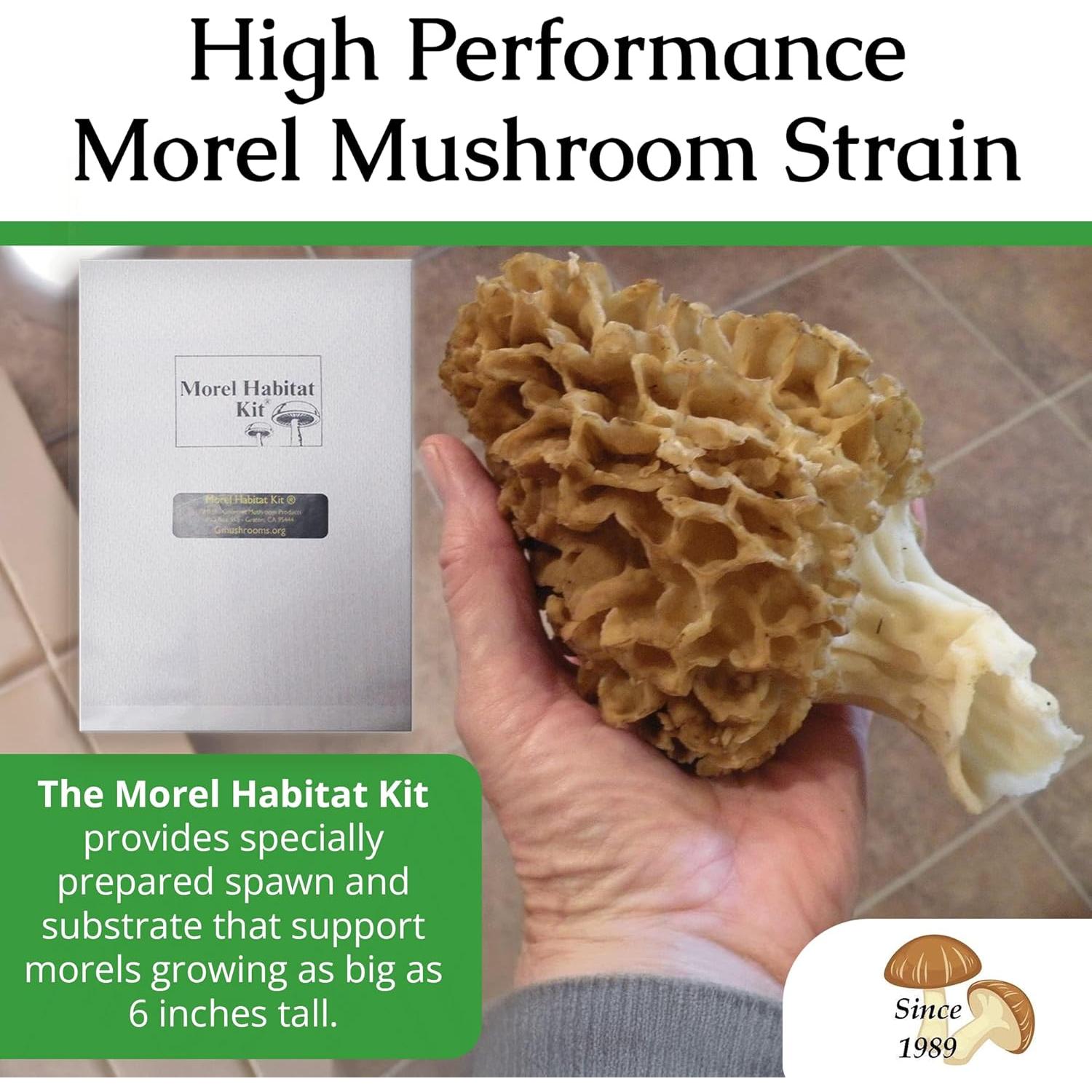 Kit de Cultivo de Hongos Morel Gourmet - Habitat Morel