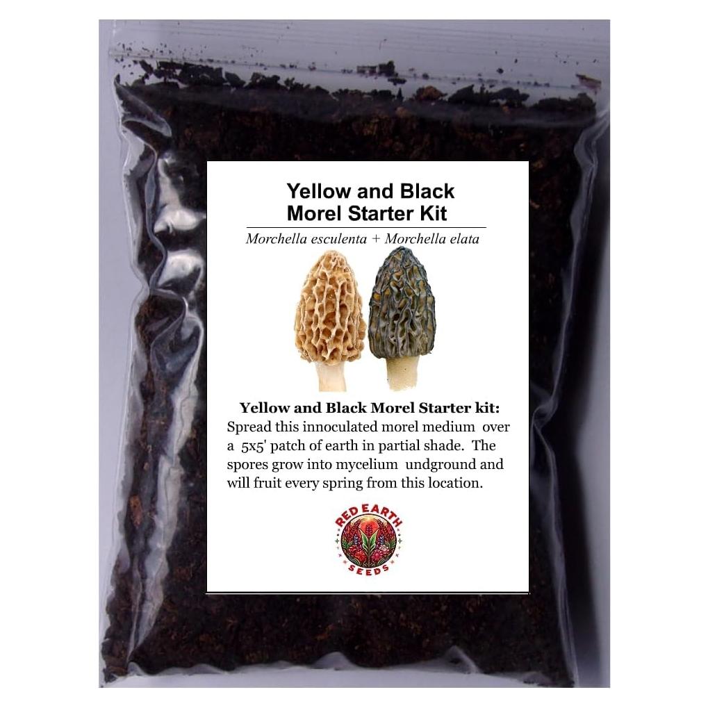 Kit de Cultivo de Morillas Negras y Amarillas 56g