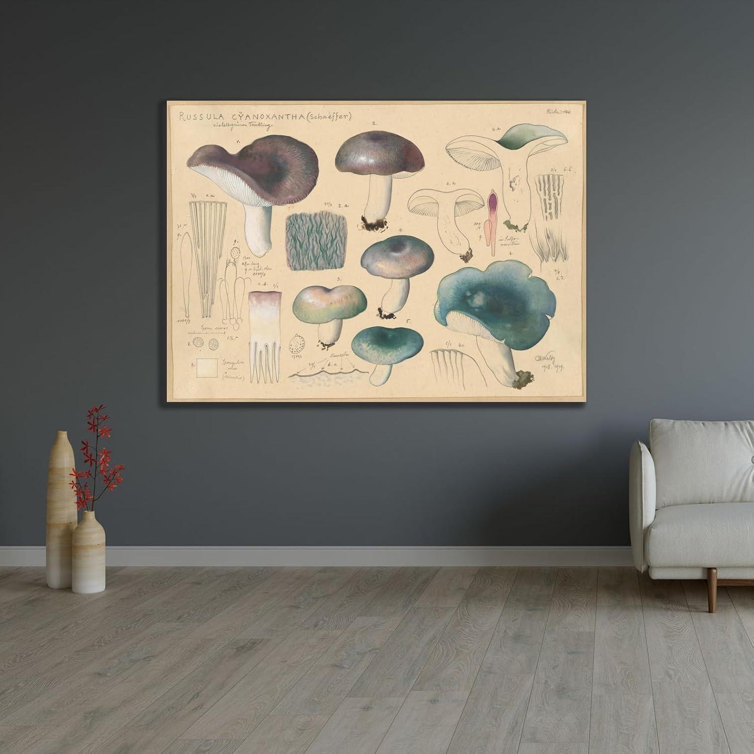Póster de Arte Giclee Hans Walty Russula cyanoxantha 230 GSM