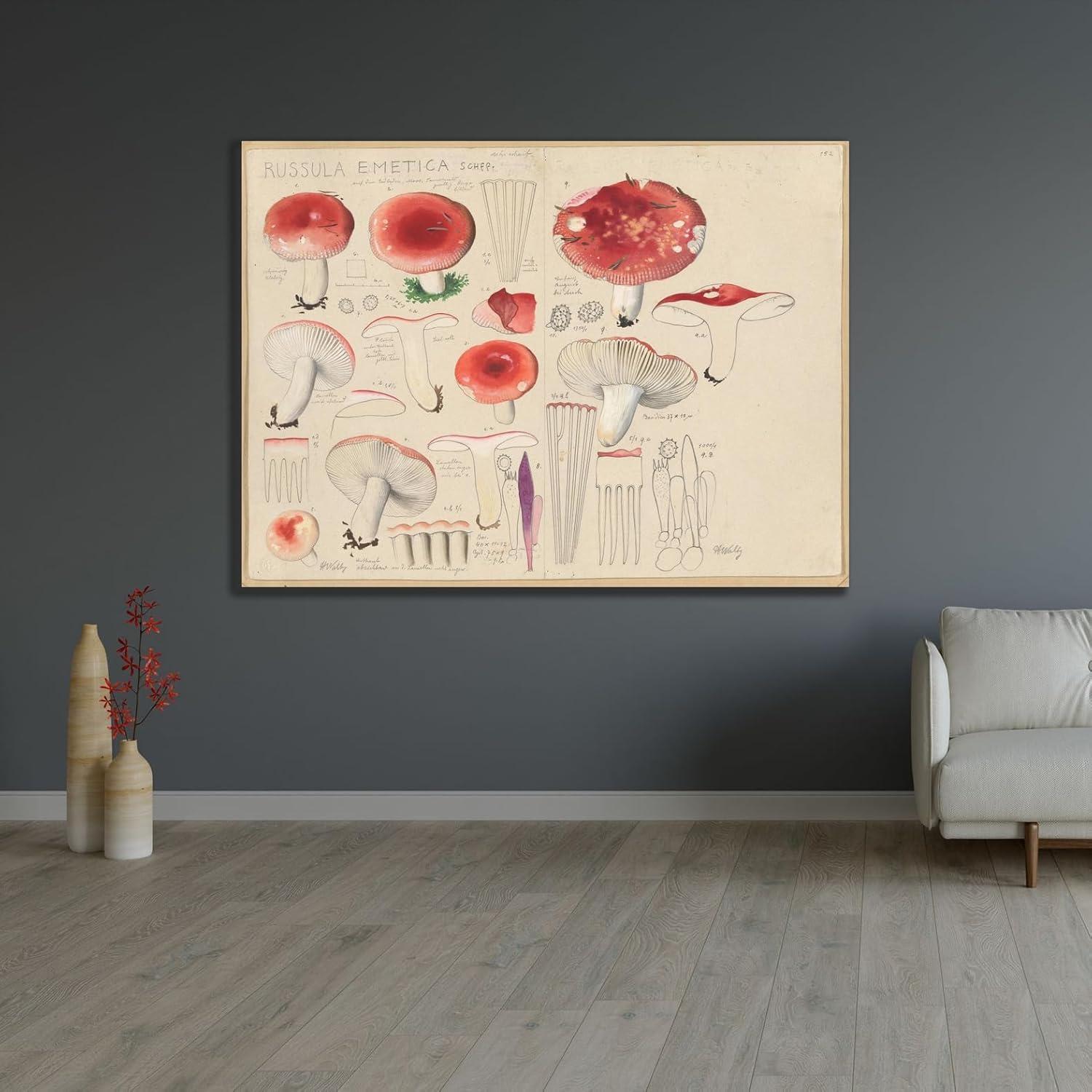 Póster de Arte Giclee Hans Walty Russula emetica 152.4x111.8 cm