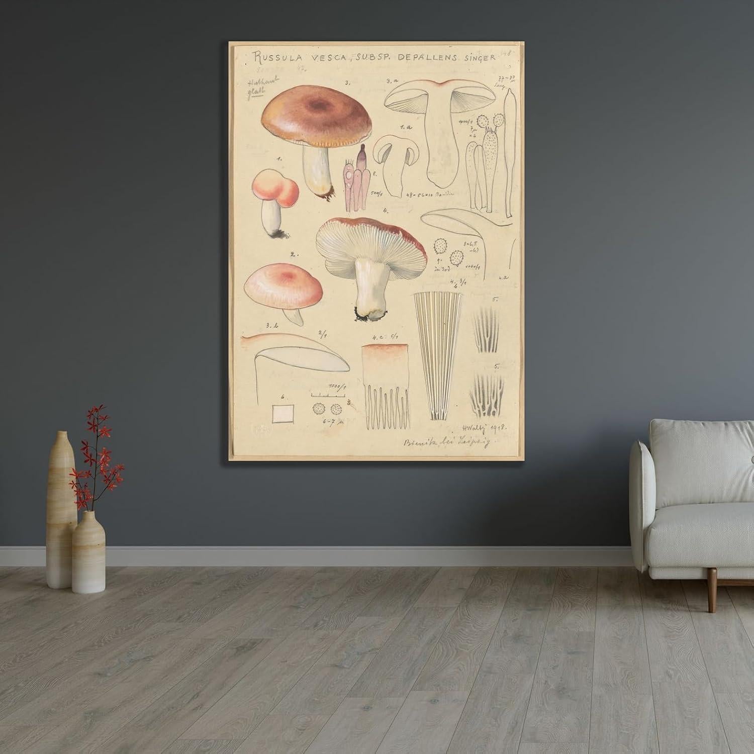 Póster Artístico Hans Walty Russula vesca 230 GSM - Varios Tamaños