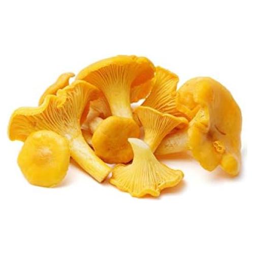 Hongo Chanterelle Seco 25g - Garden Pleasure - Esporas de Micelio