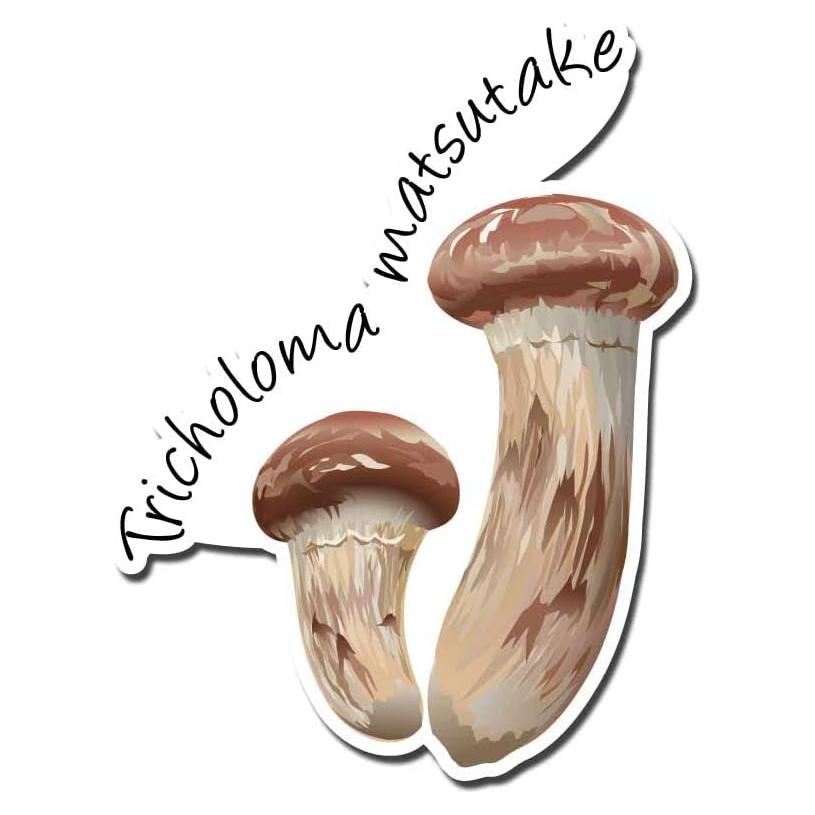 Adhesivo Vinilo Tricholoma Matsutake 20 cm Dark Spark