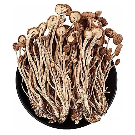 Setas comestibles Agrocybe Cylindracea 340g - Bestliving