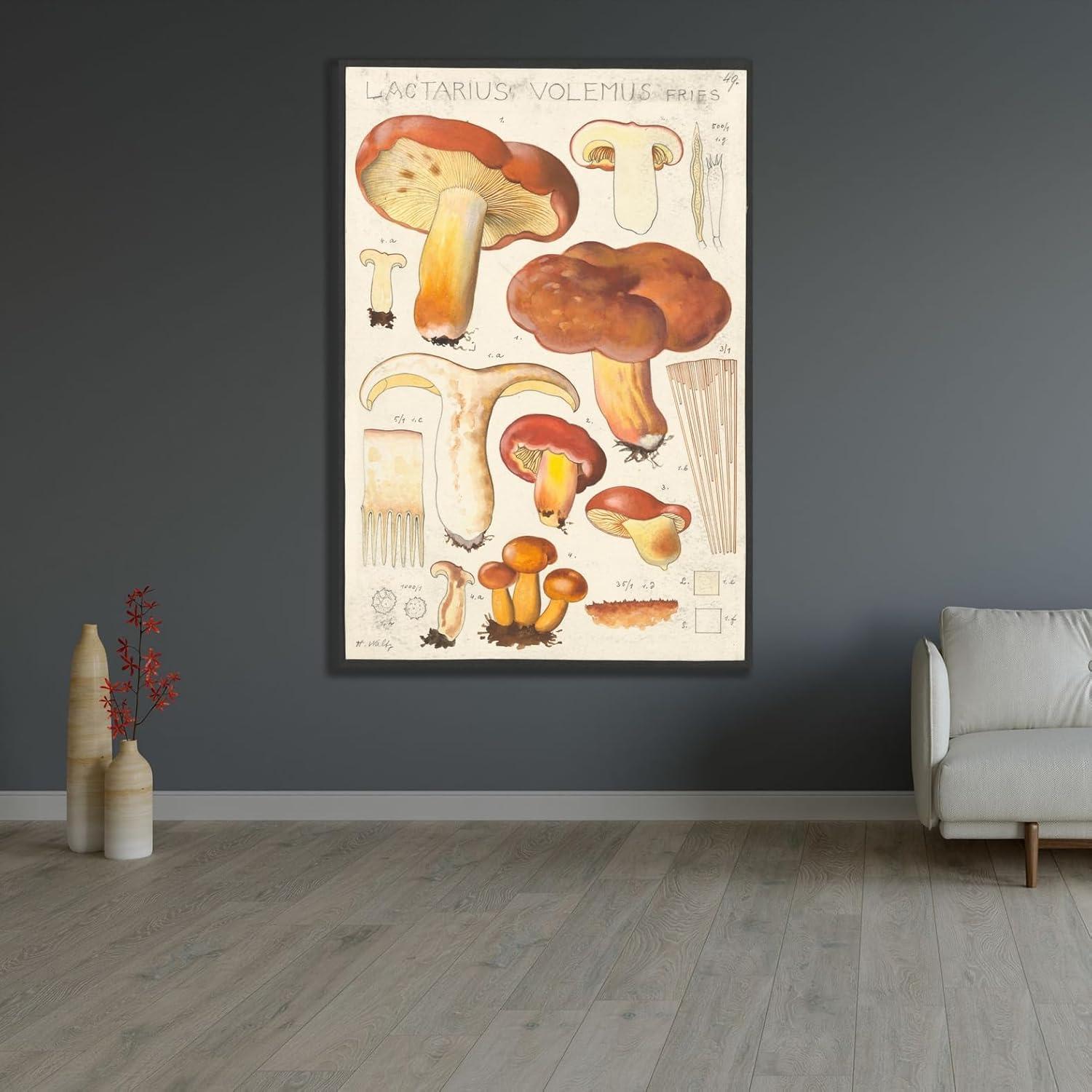 Póster de Arte Giclee Hans Walty Lactarius volemus 230 GSM