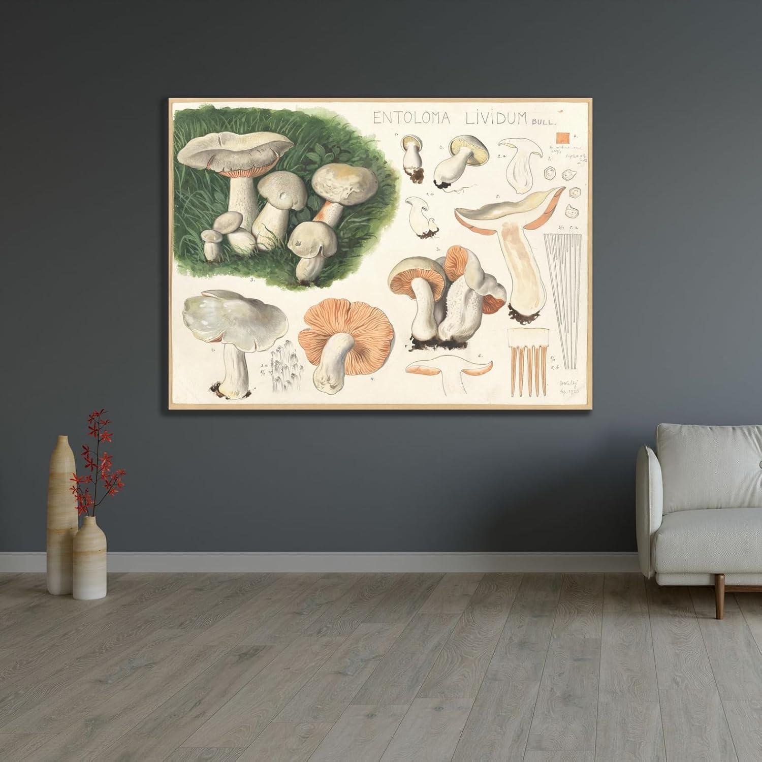 Póster de Arte Giclee Hans Walty - Entoloma lividum 152.4x111.8 cm