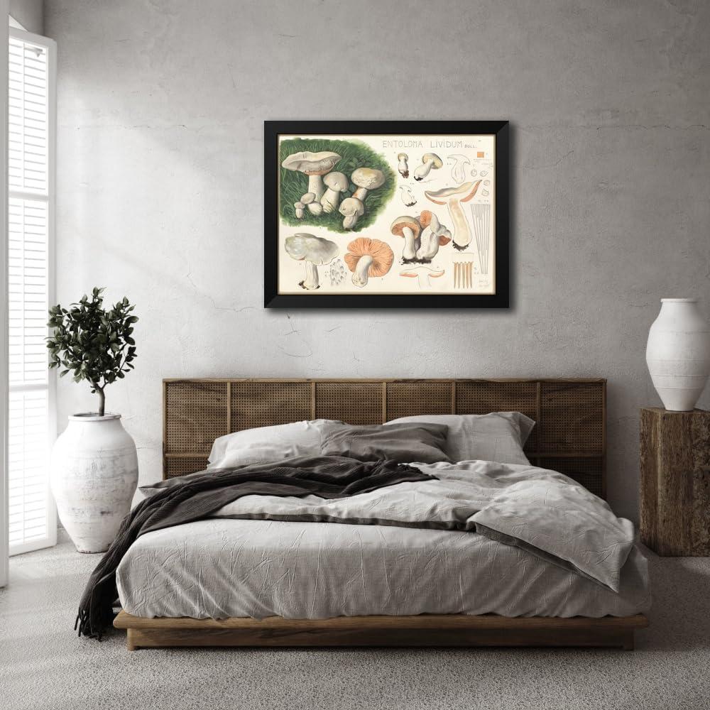 Impresión de Arte Enmarcada Hans Walty - Entoloma lividum 152x112 cm