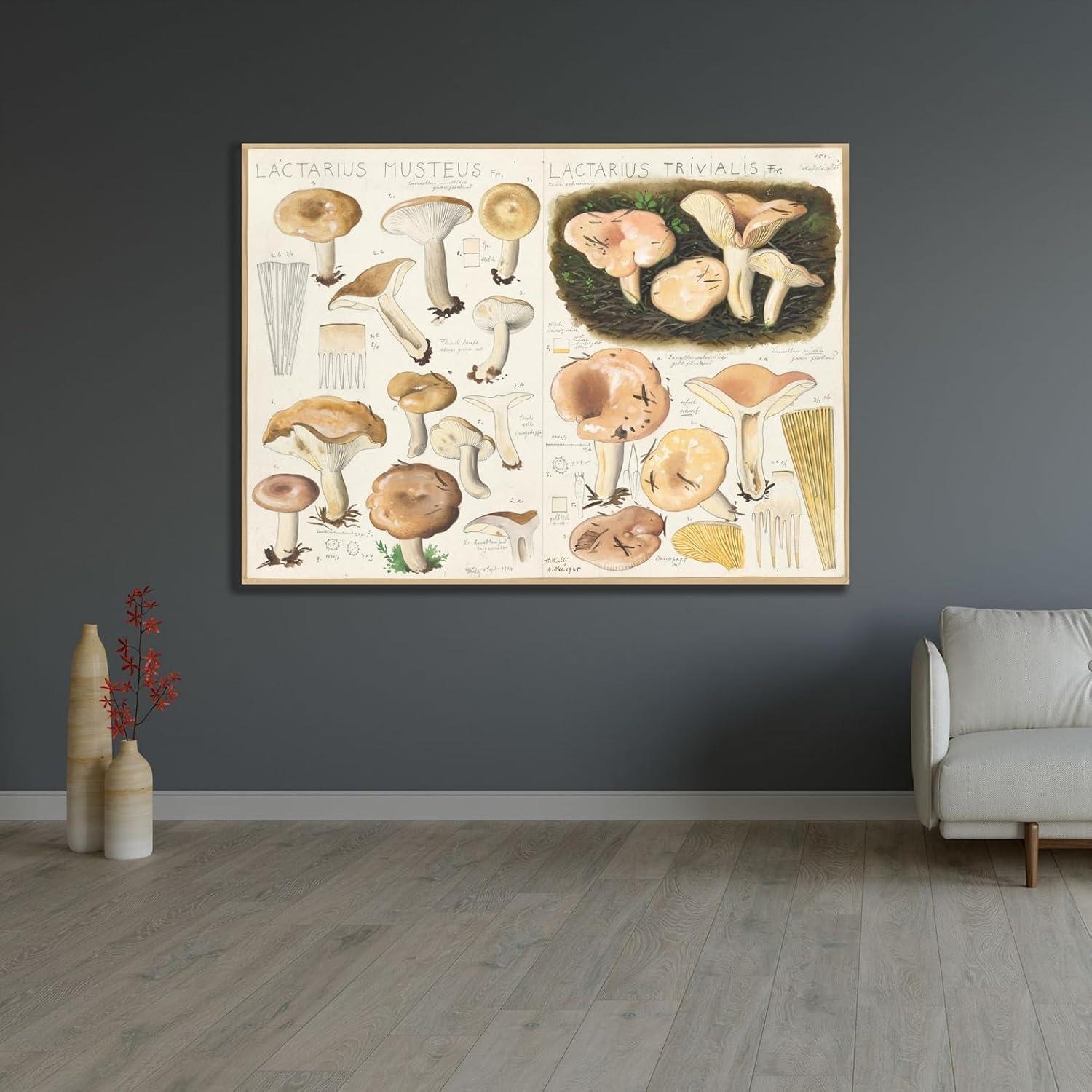 Póster artístico Giclee Hans Walty Lactarius 1915-1945 60x44 cm