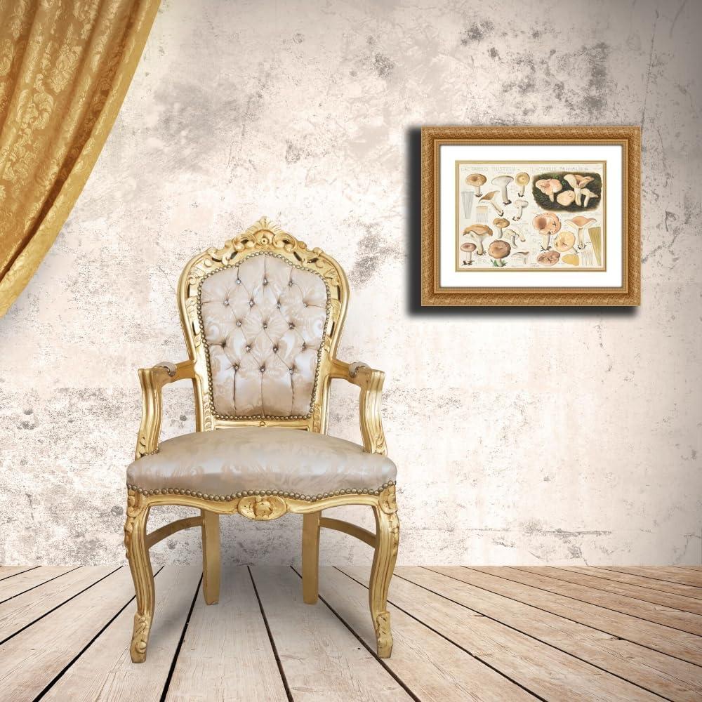 Impresión de Arte Enmarcada Hans Walty - Lactarius Musteus 1915-1945