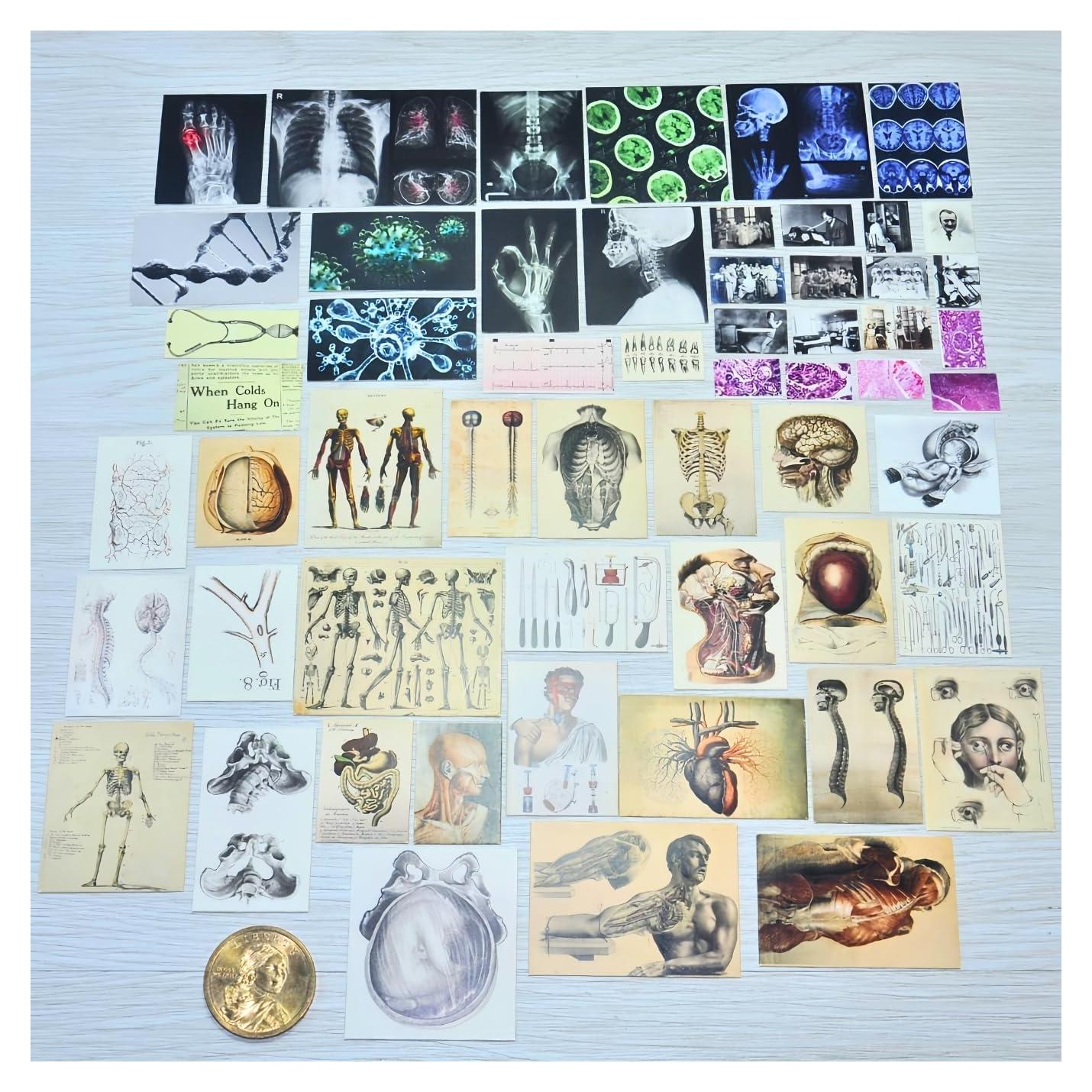 57 Pósters Médicos Miniatura Vintage - Accesorios para Muñecas 1:6