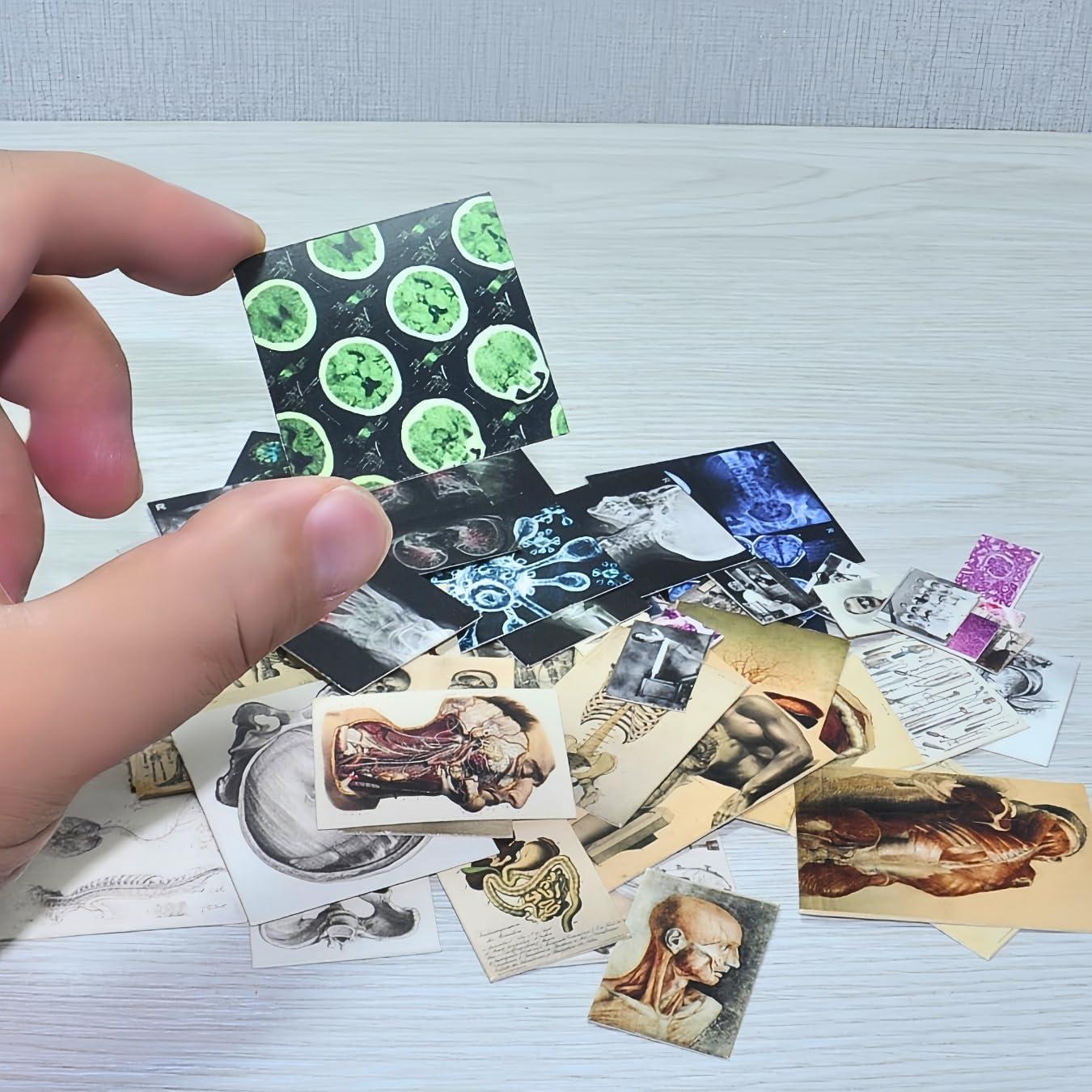 57 Pósters Médicos Miniatura Vintage - Accesorios para Muñecas 1:6