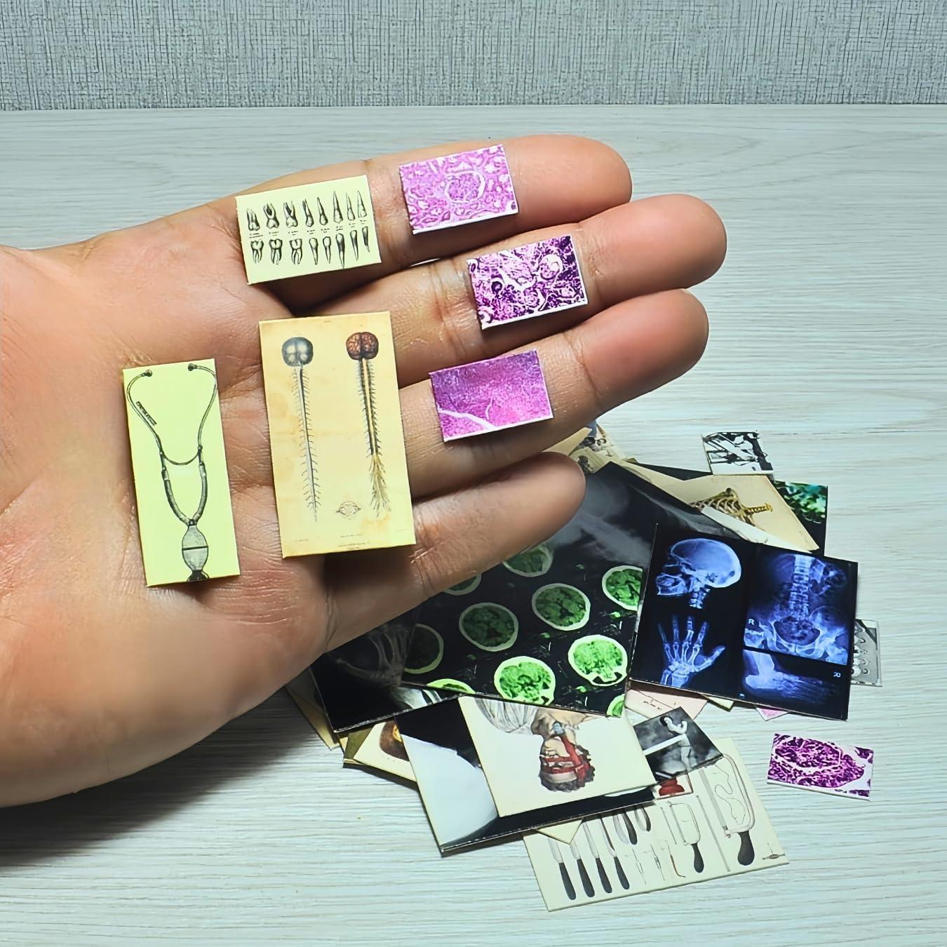 57 Pósters Médicos Miniatura Vintage - Accesorios para Muñecas 1:6