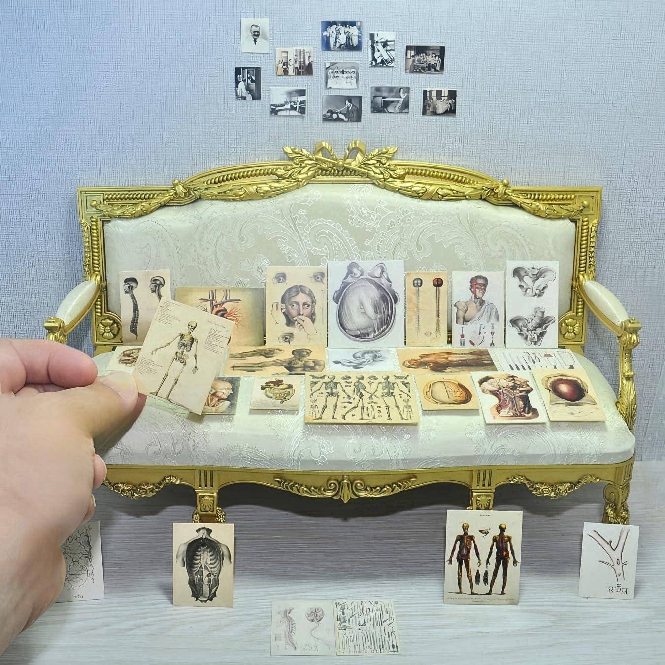 57 Pósters Médicos Miniatura Vintage - Accesorios para Muñecas 1:6