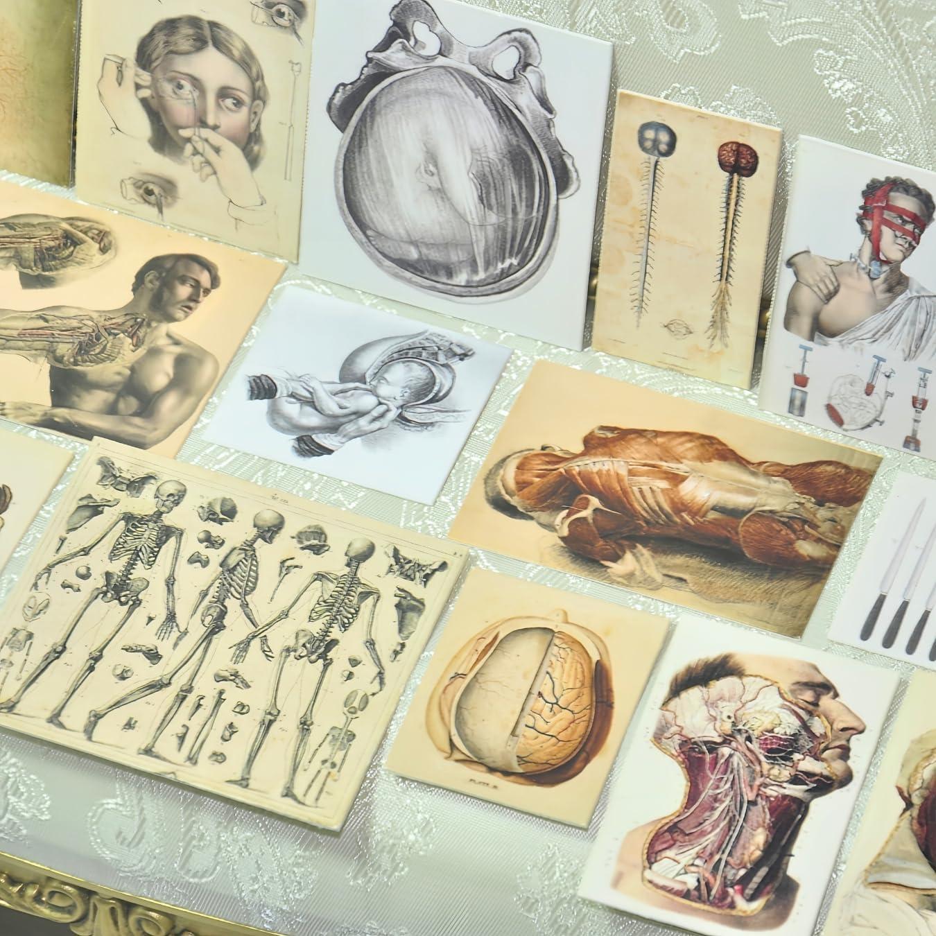 57 Pósters Médicos Miniatura Vintage - Accesorios para Muñecas 1:6