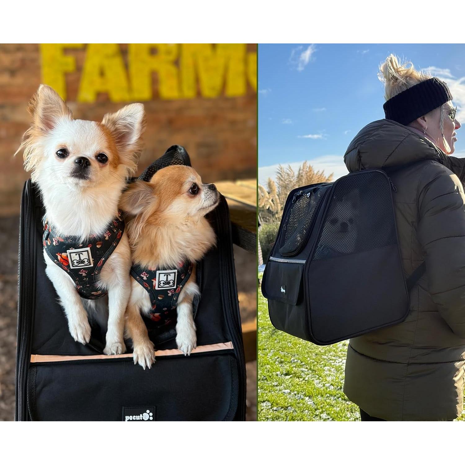 Transportadora Mochila Pecute para Gatos y Perros Pequeños