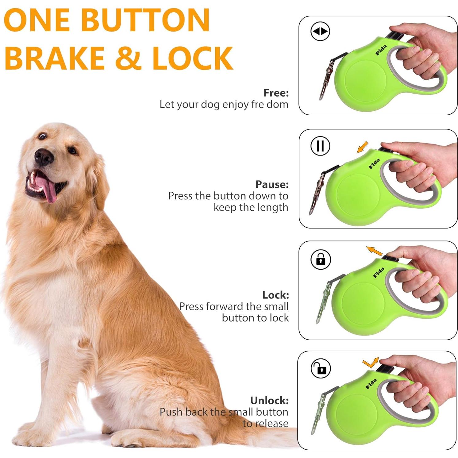 Correa Retráctil para Perros Fida Mediana 4.88m Verde