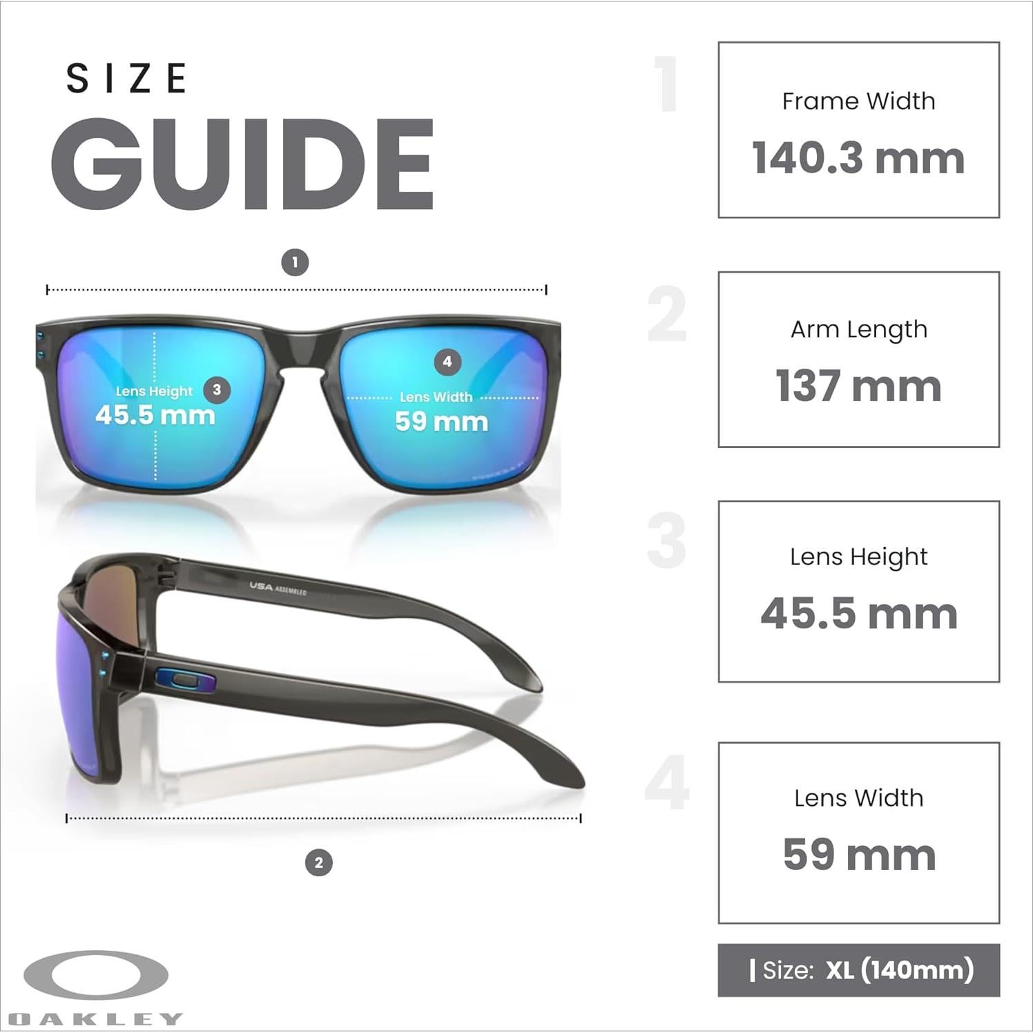 Gafas de sol Oakley Holbrook XL Humo gris Polarizadas