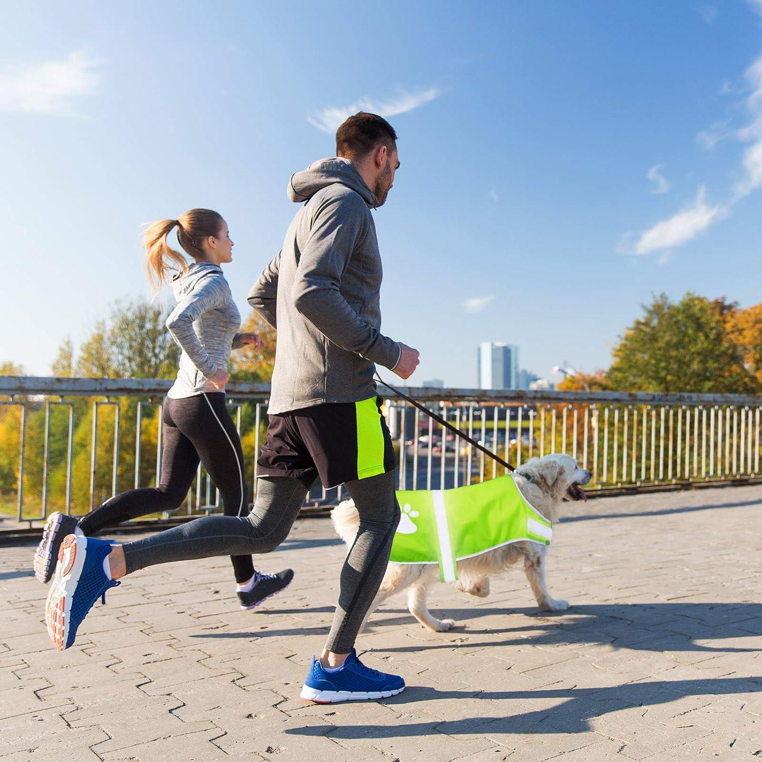 Chaleco Reflectante para Perros Geyoga 2 Piezas Ajustable