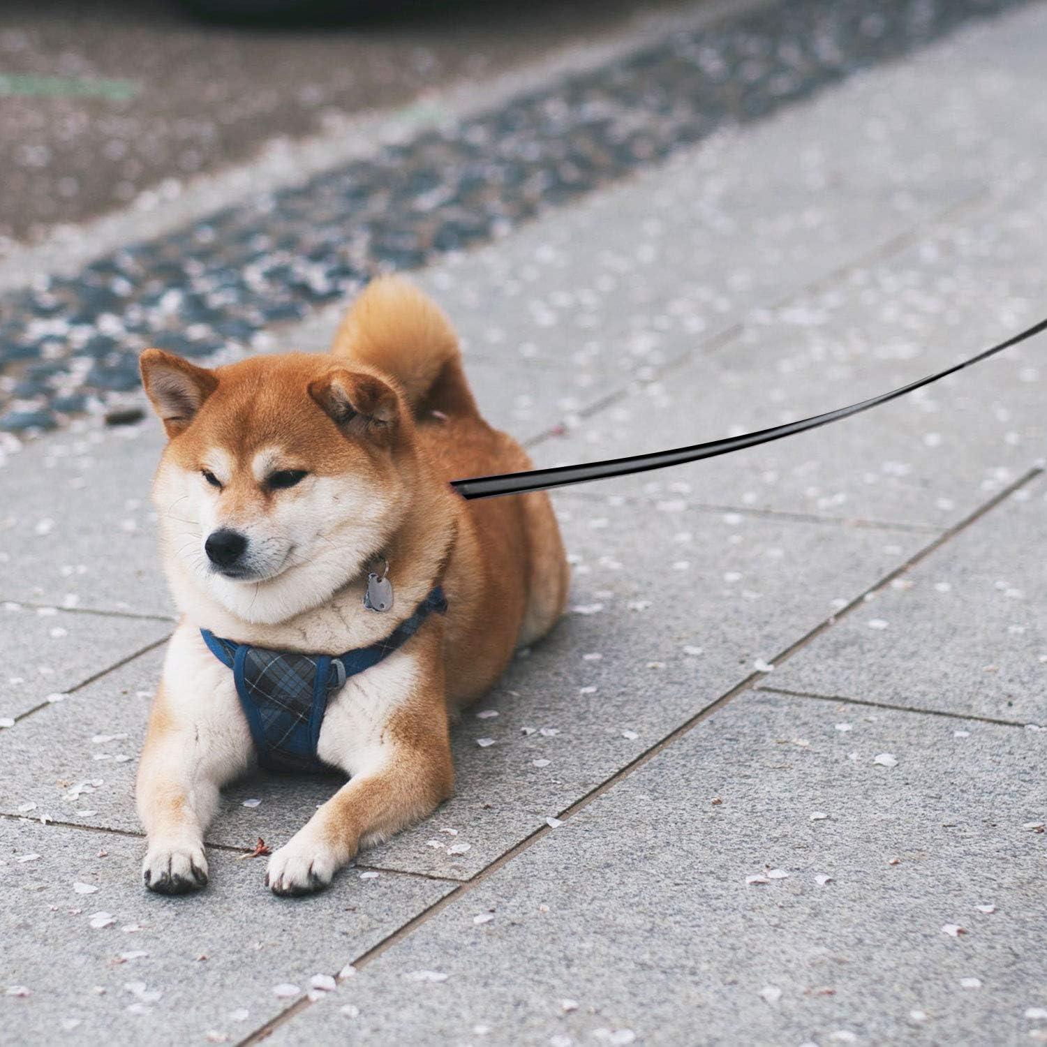 Correa Retráctil para Perros Segarty 7,92m hasta 50kg Negra