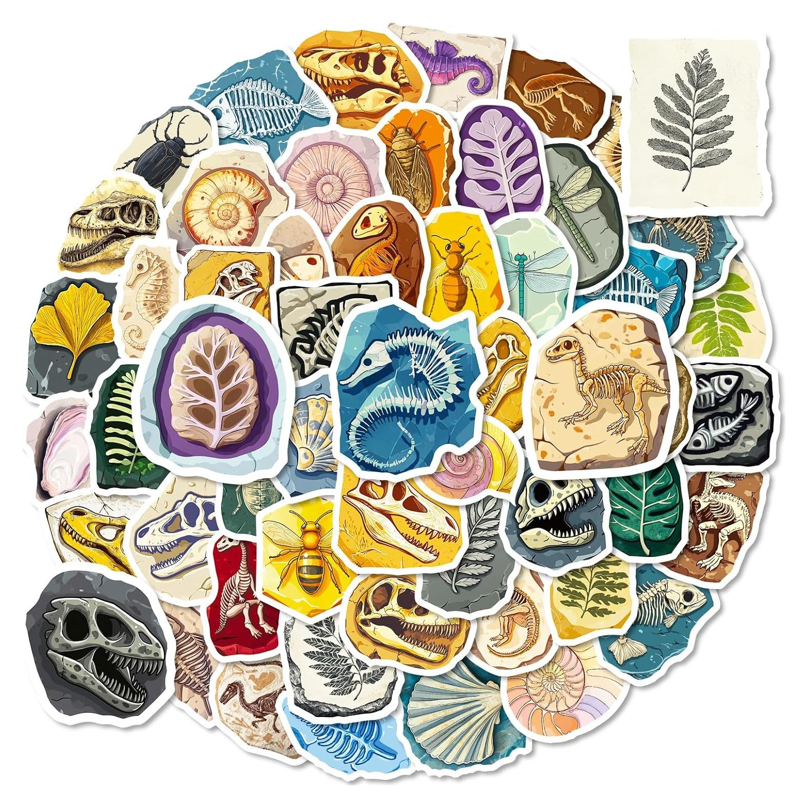 50 Calcomanías de Fósiles RGBEE - Vinilo Impermeable 3.81-5.08cm