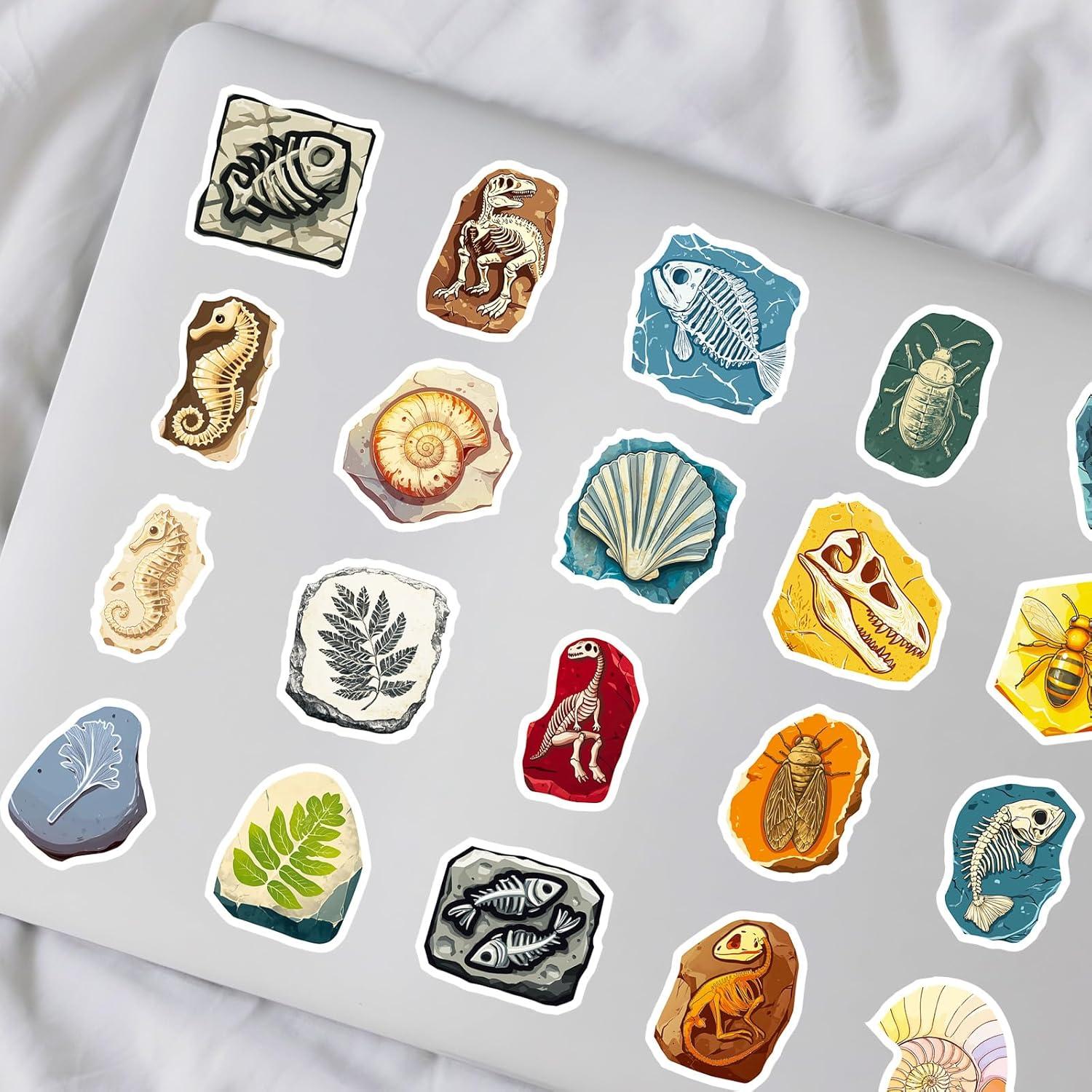50 Calcomanías de Fósiles RGBEE - Vinilo Impermeable 3.81-5.08cm